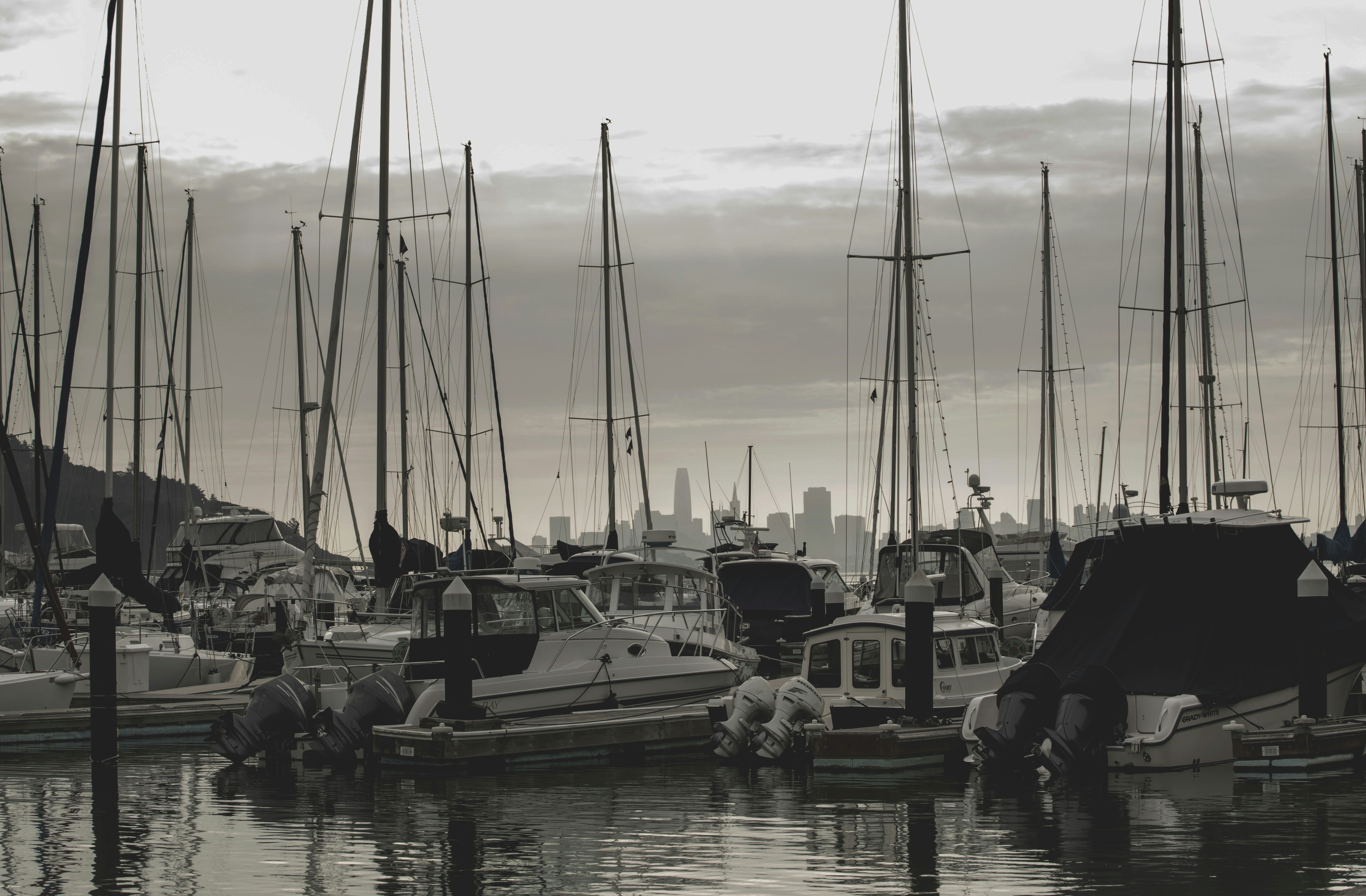 Photo by leo_visions_