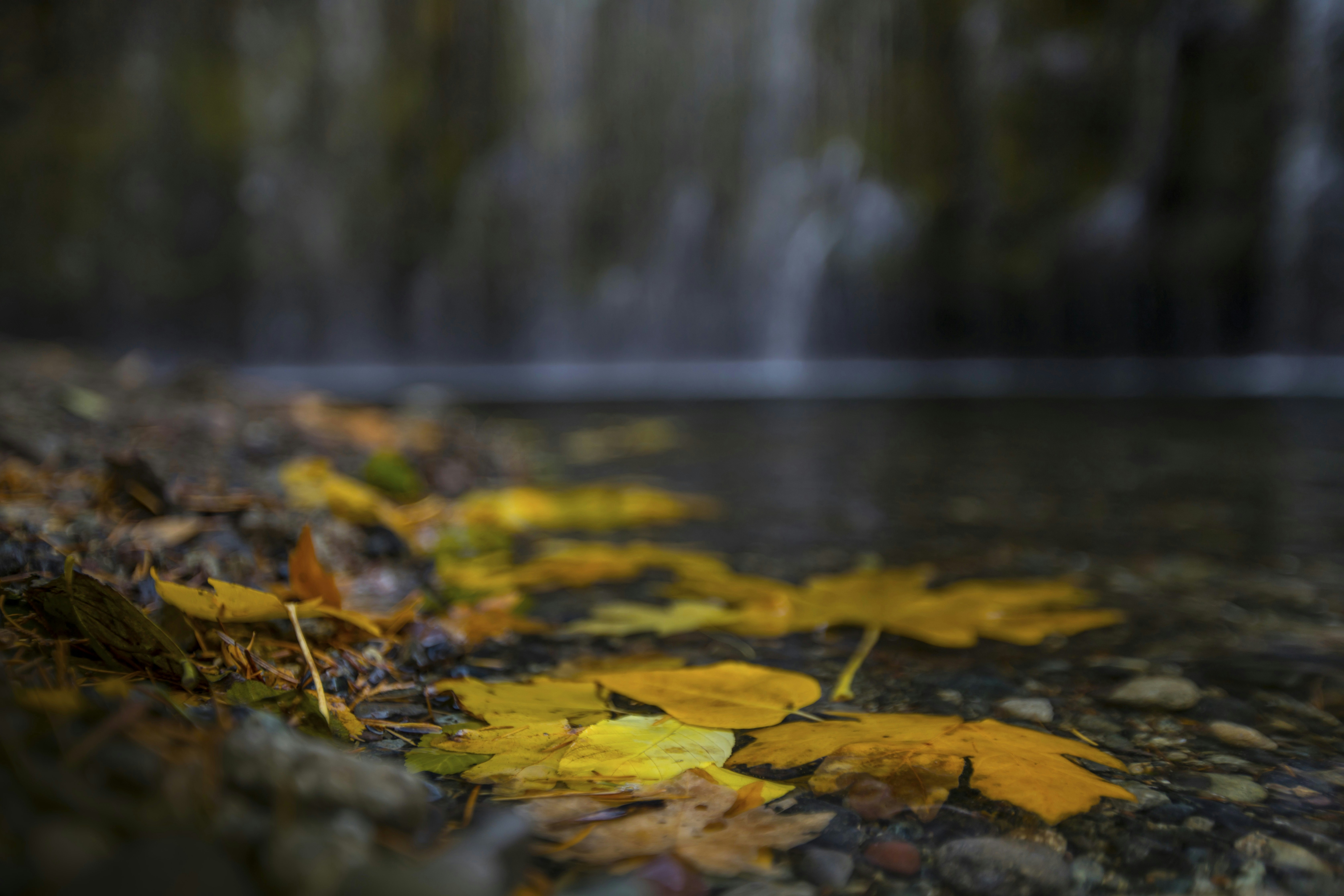 Photo by leo_visions_