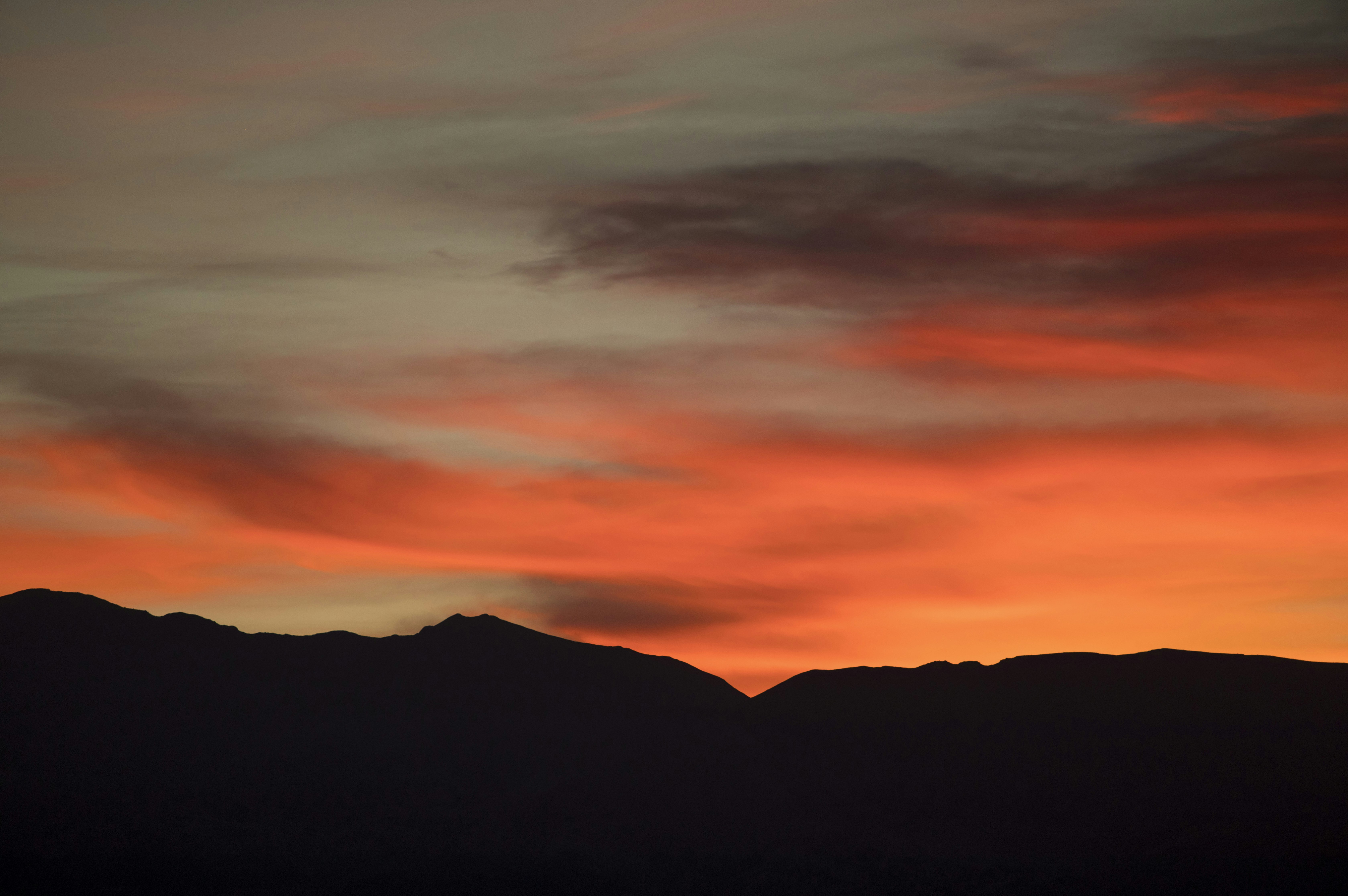 Photo by leo_visions_