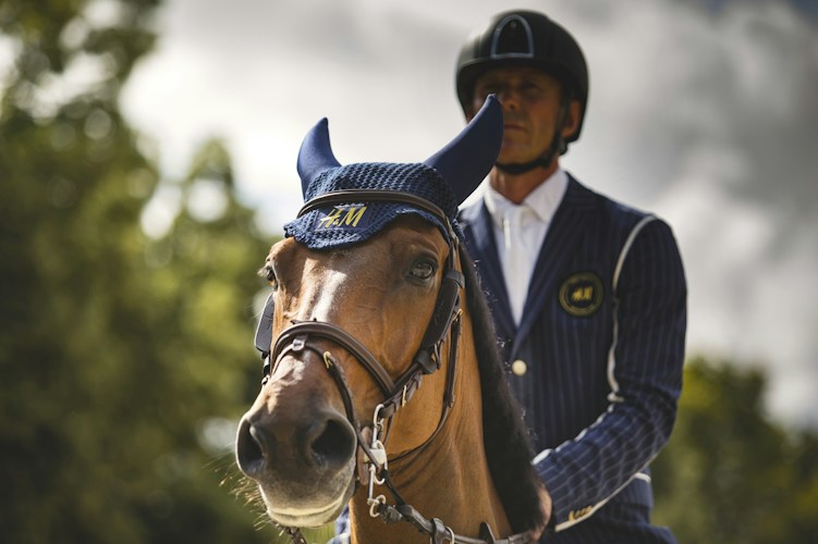 Horse with bridle — the snaffle bit that inspired the Gucci loafer