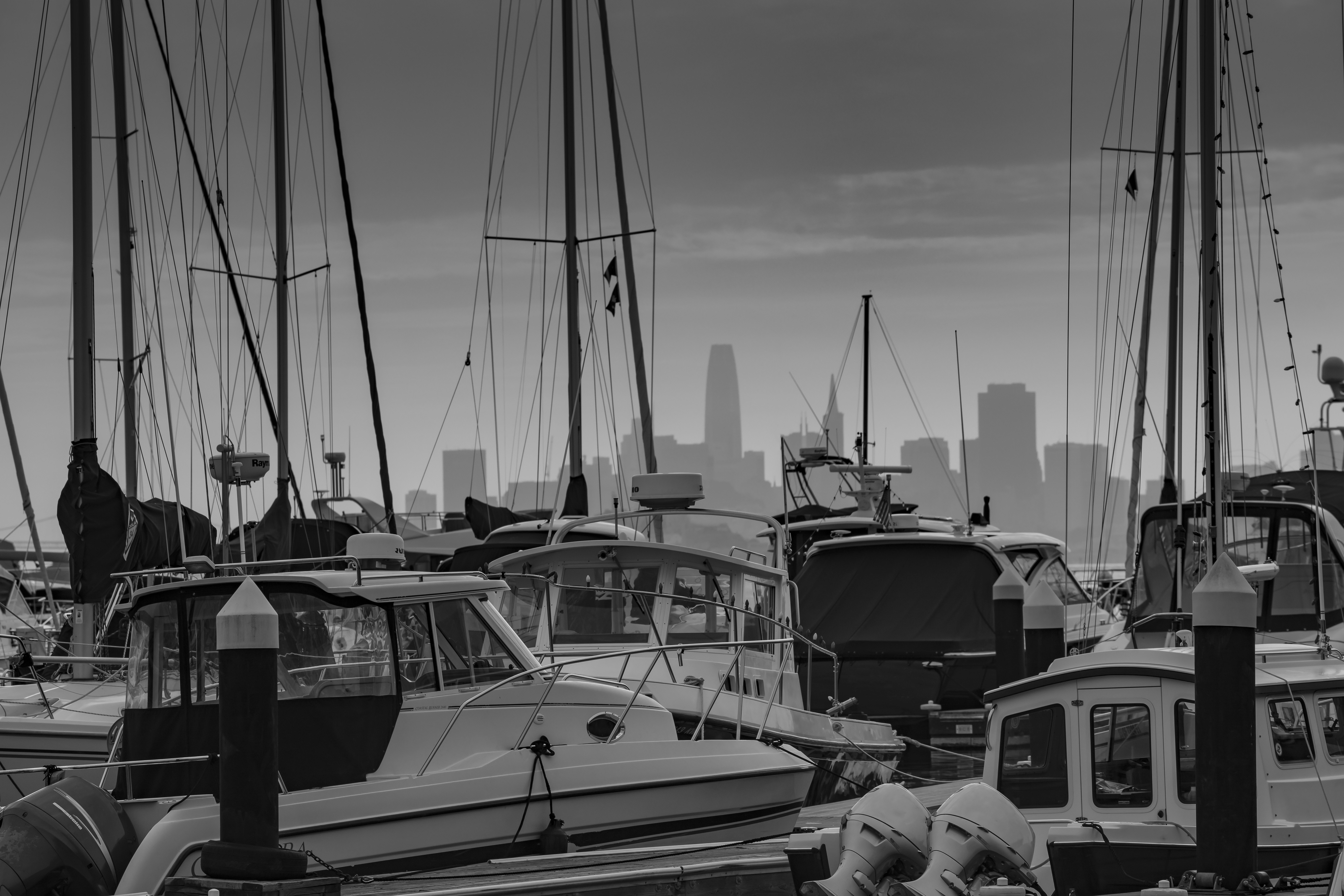 Photo by leo_visions_