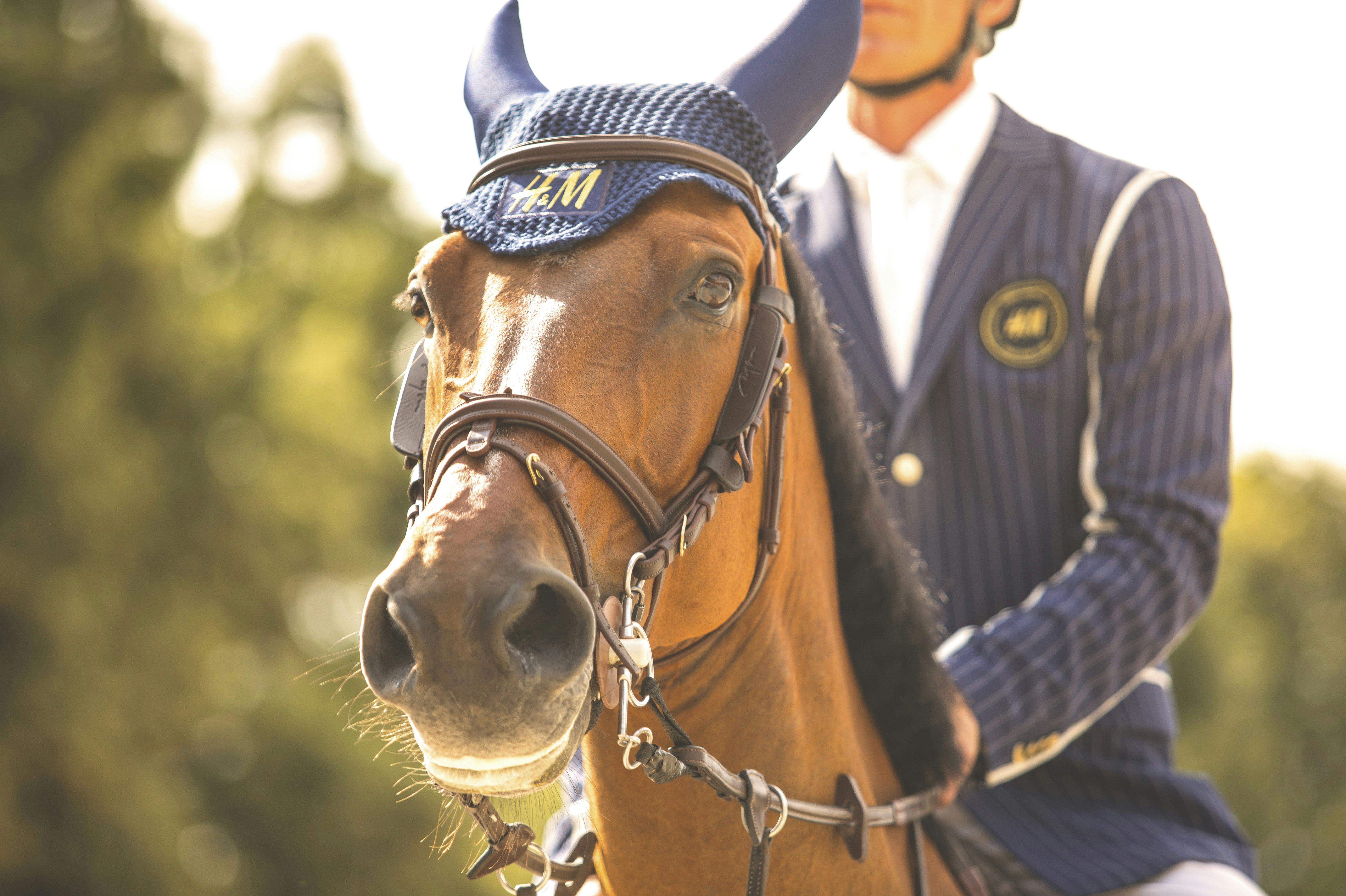 Photo by leo_visions_