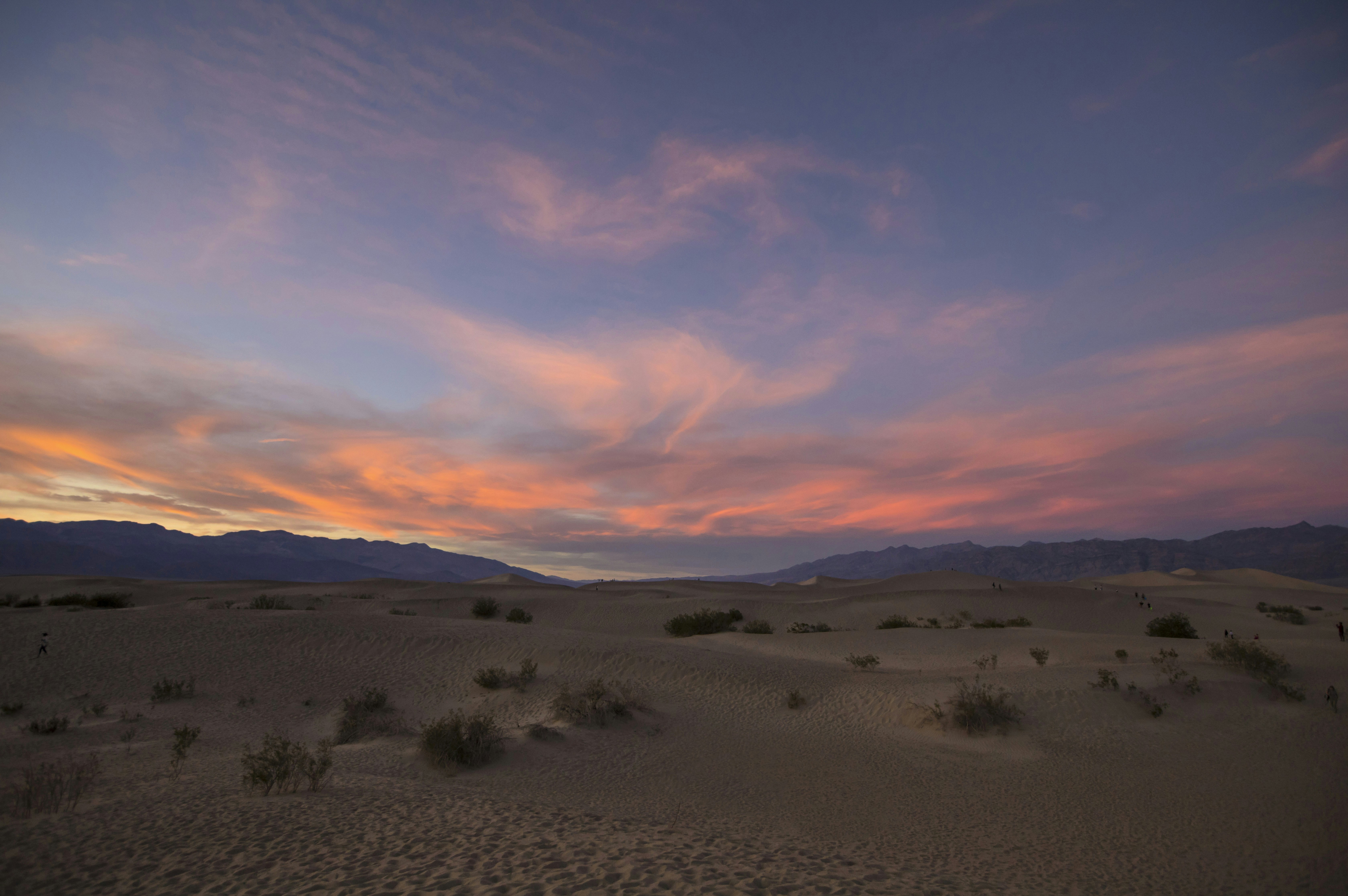 Photo by leo_visions_