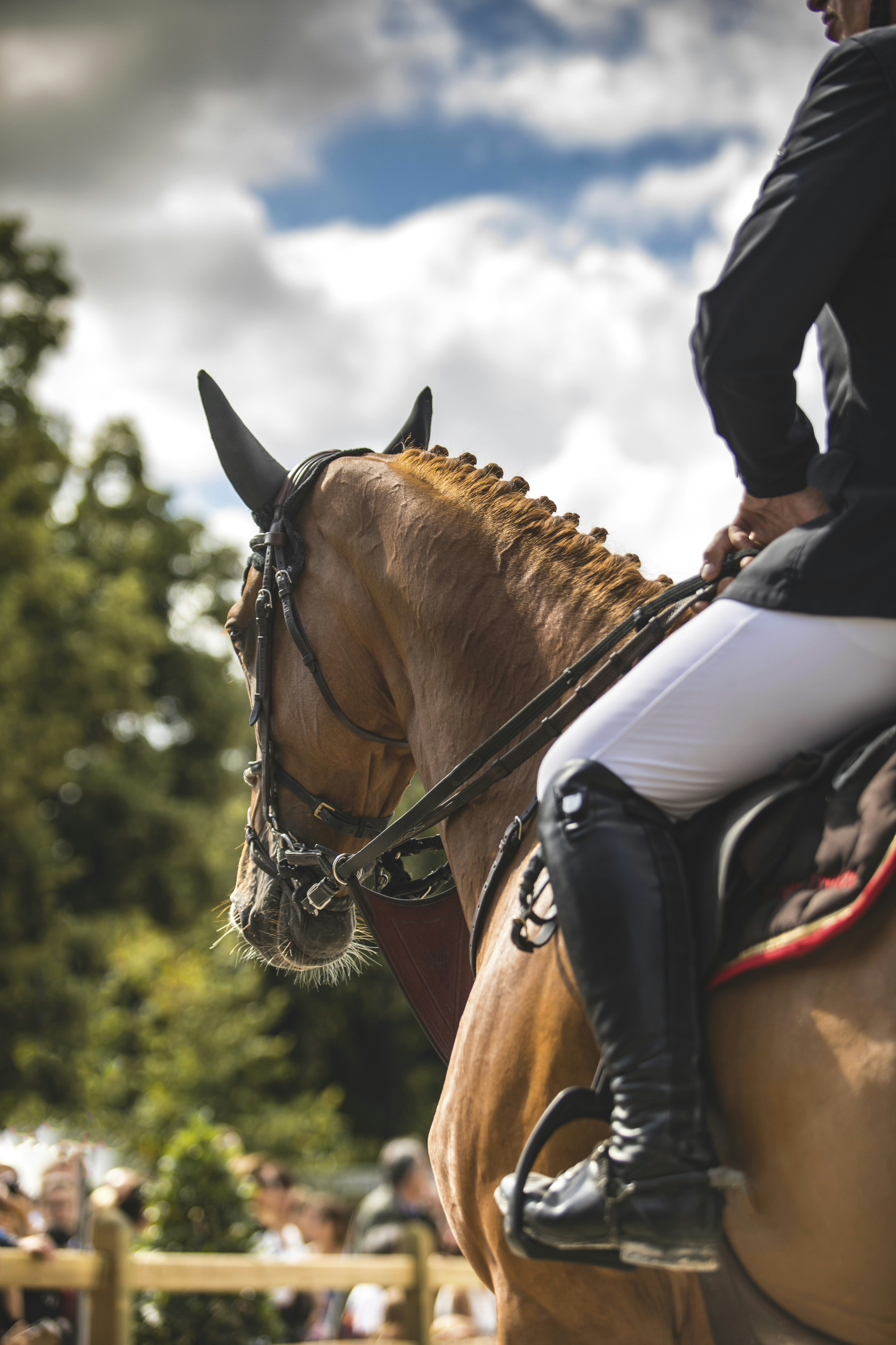 Photo by leo_visions_