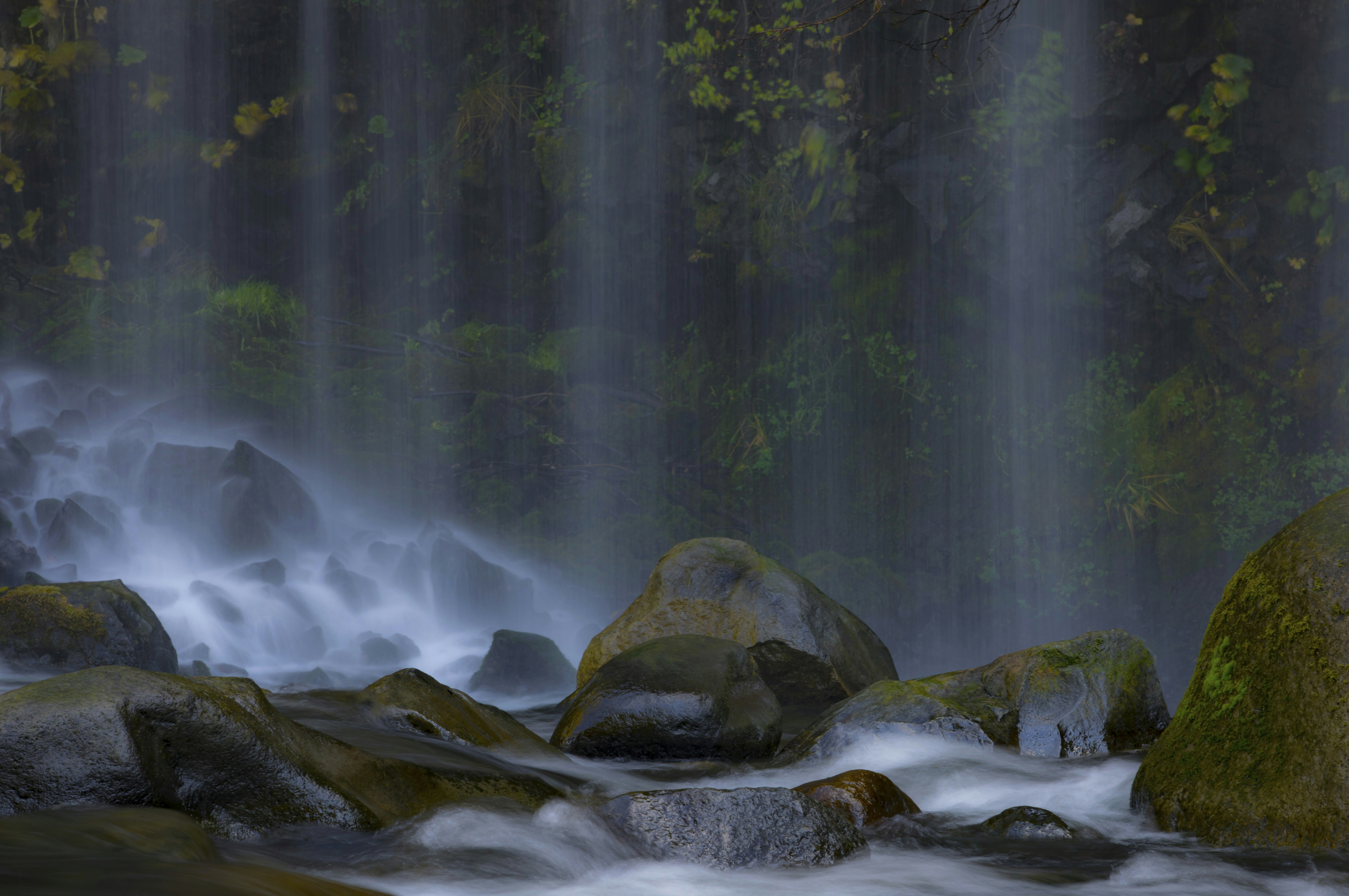 Photo by leo_visions_