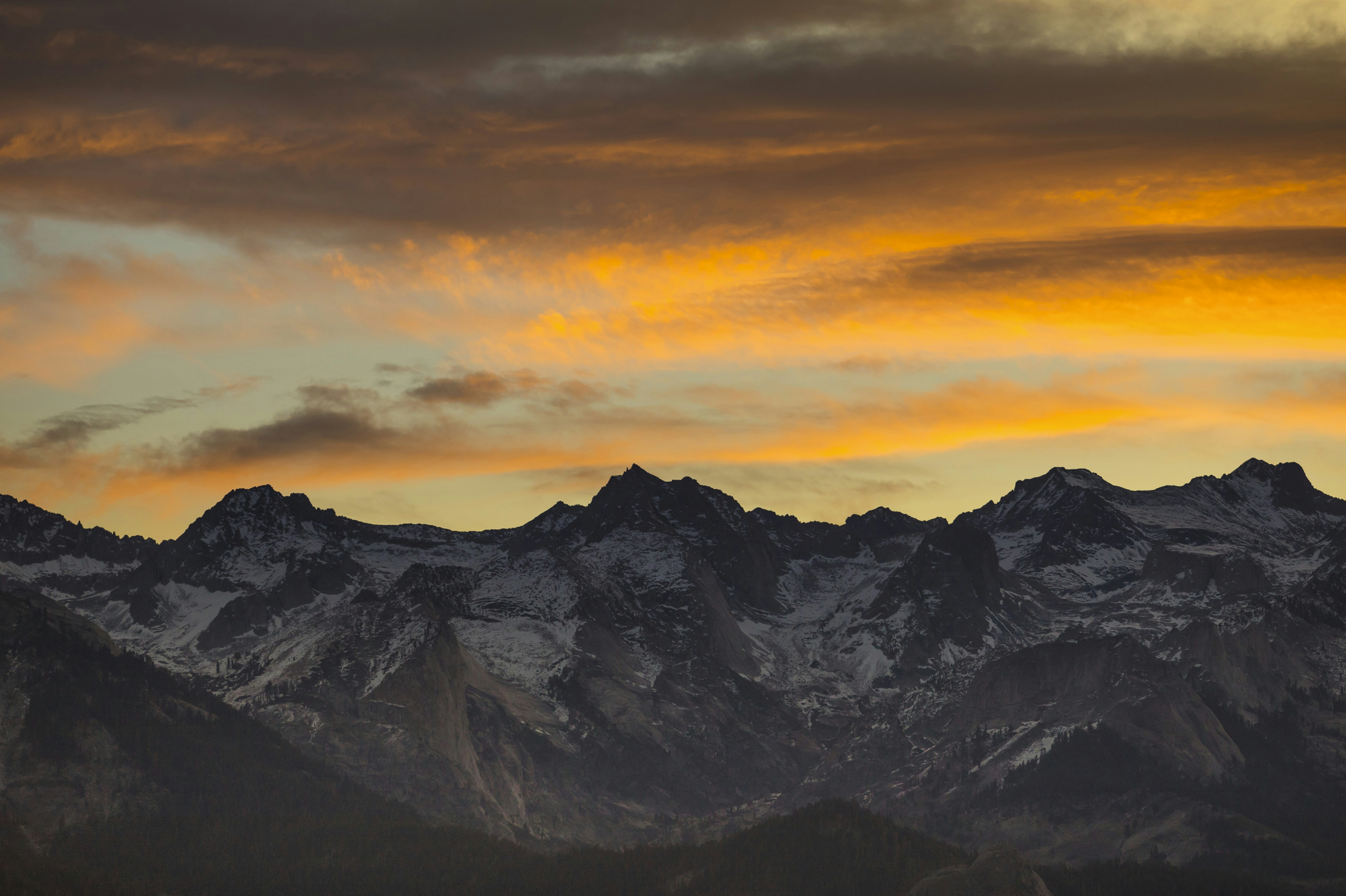 Photo by leo_visions_