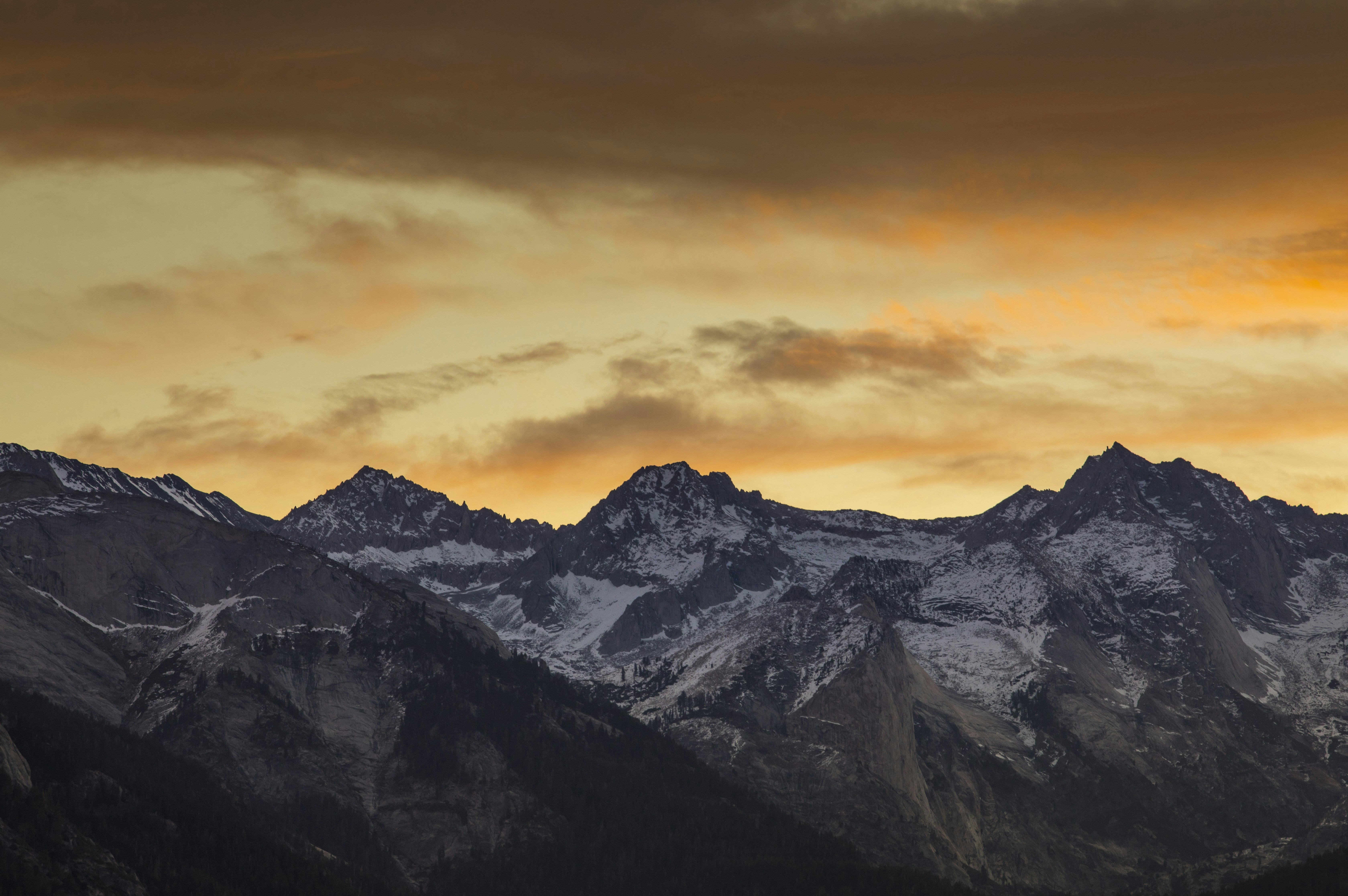 Photo by leo_visions_