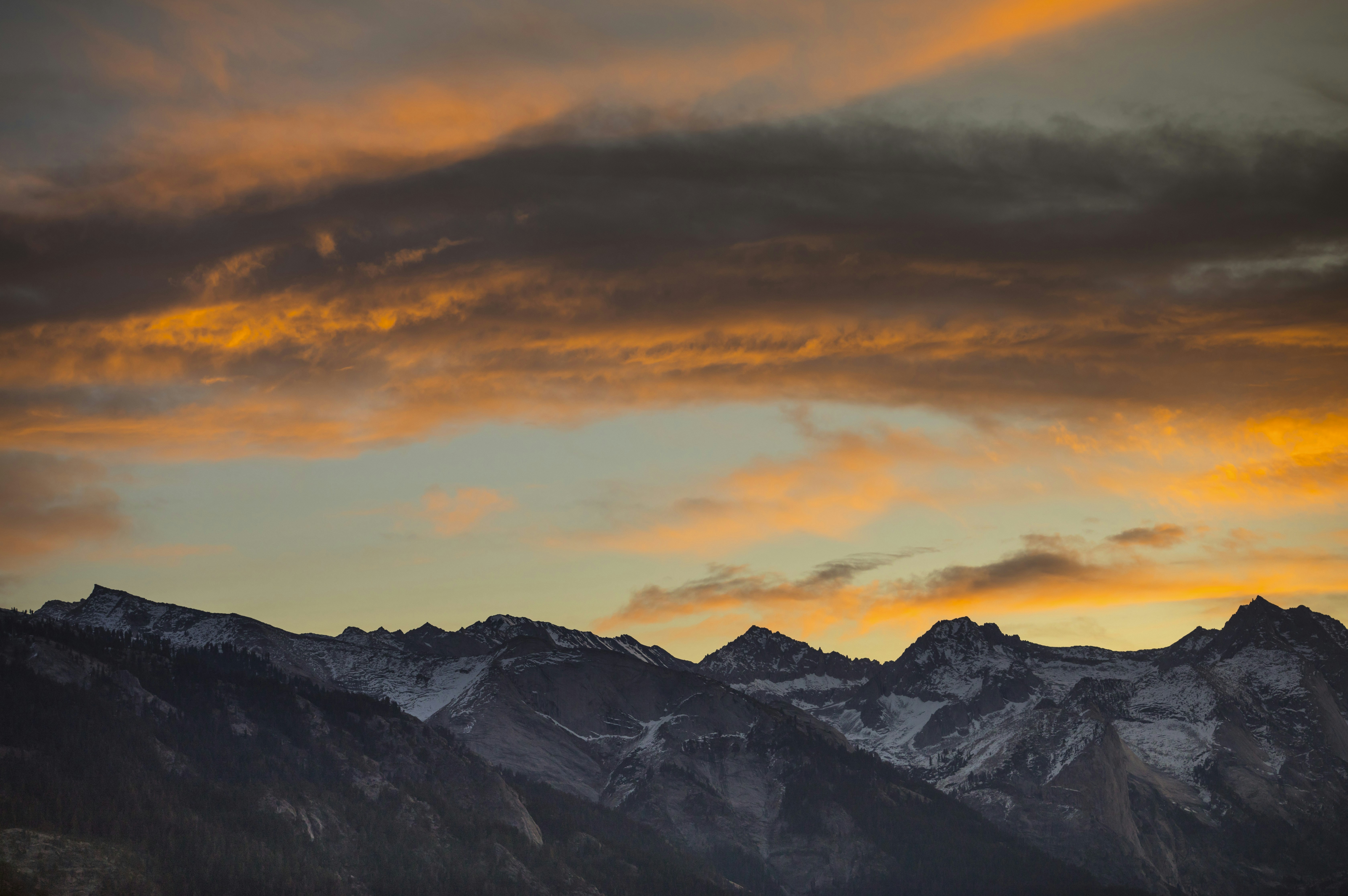 Photo by leo_visions_