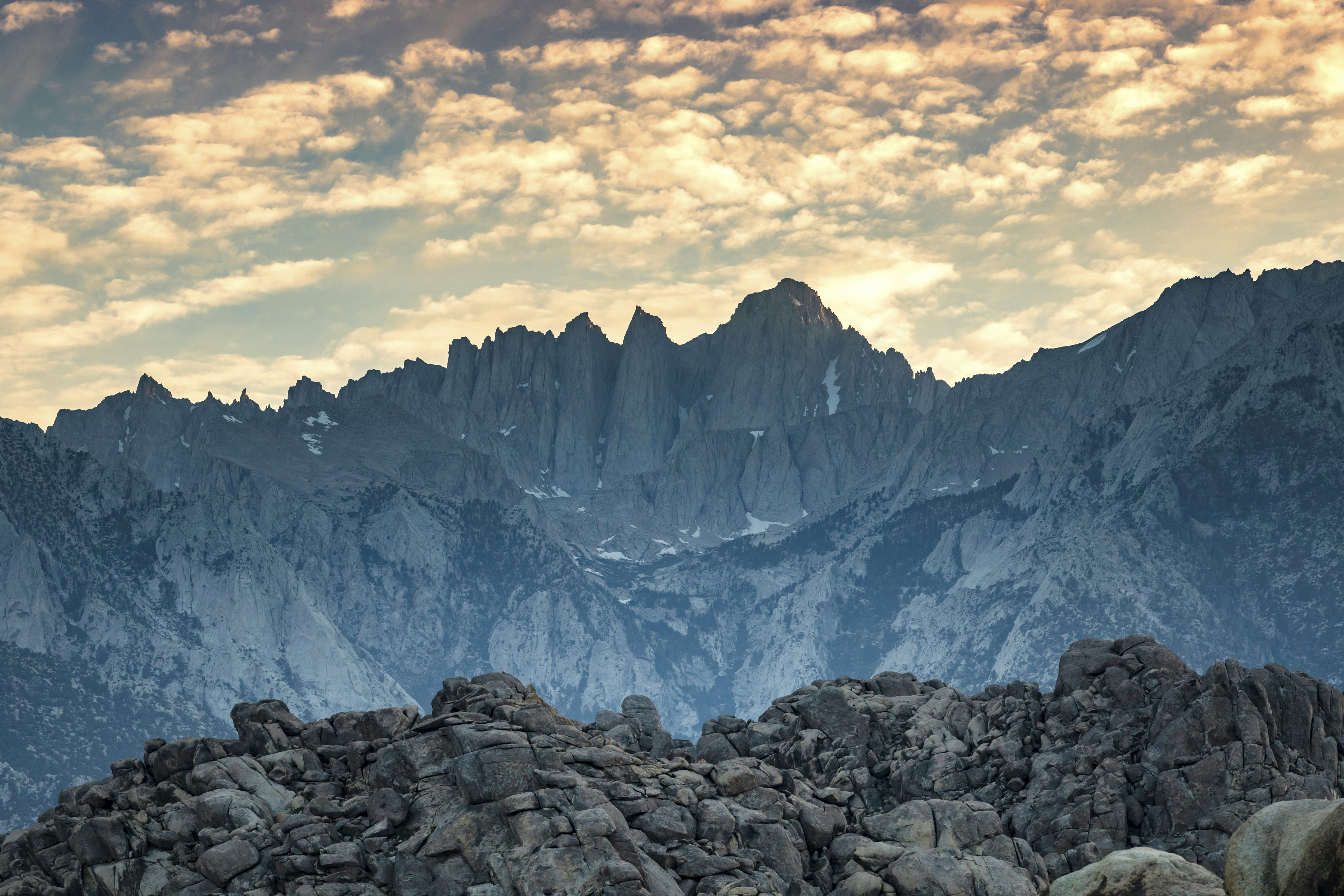 Photo by leo_visions_