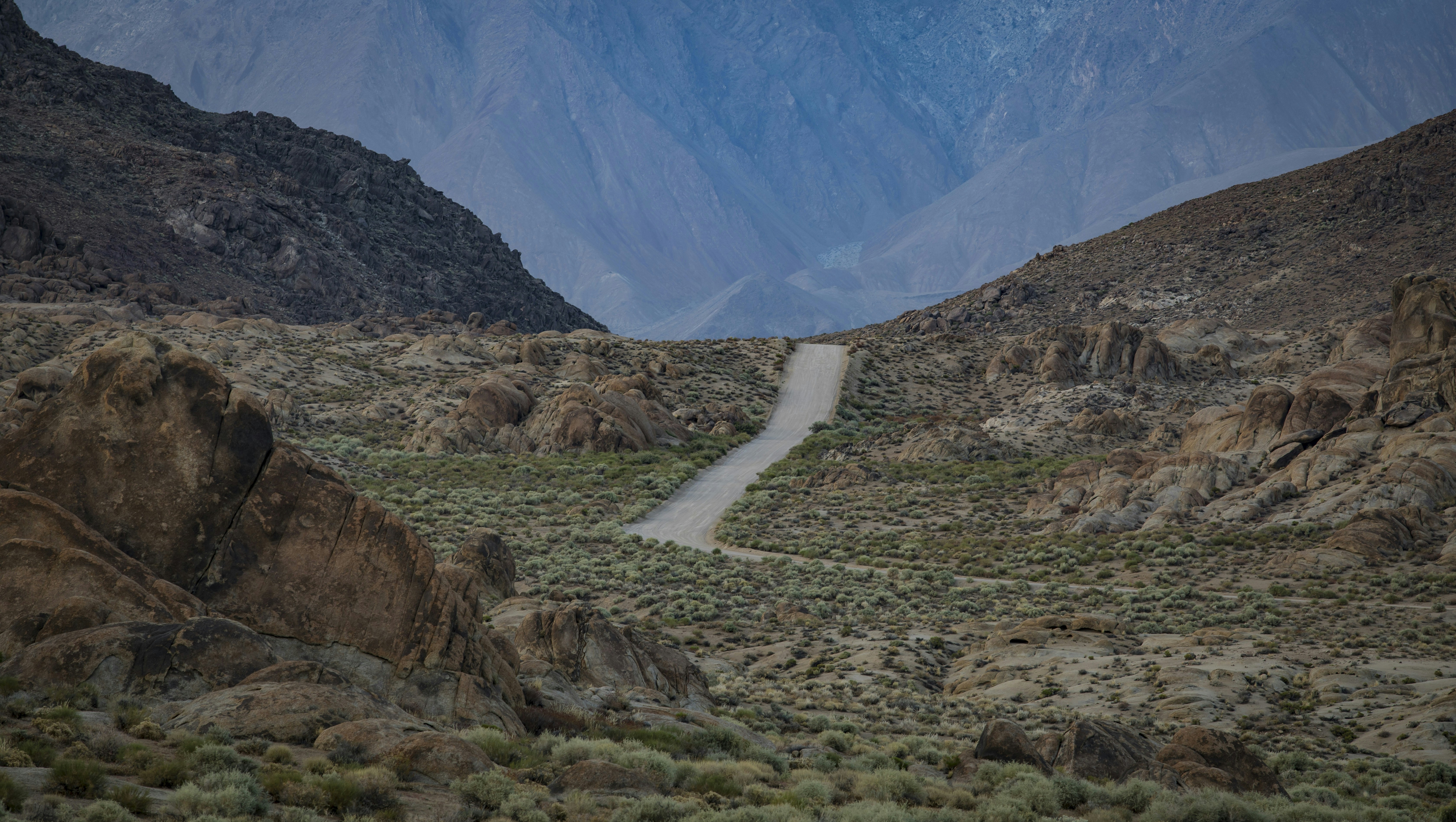 Photo by leo_visions_