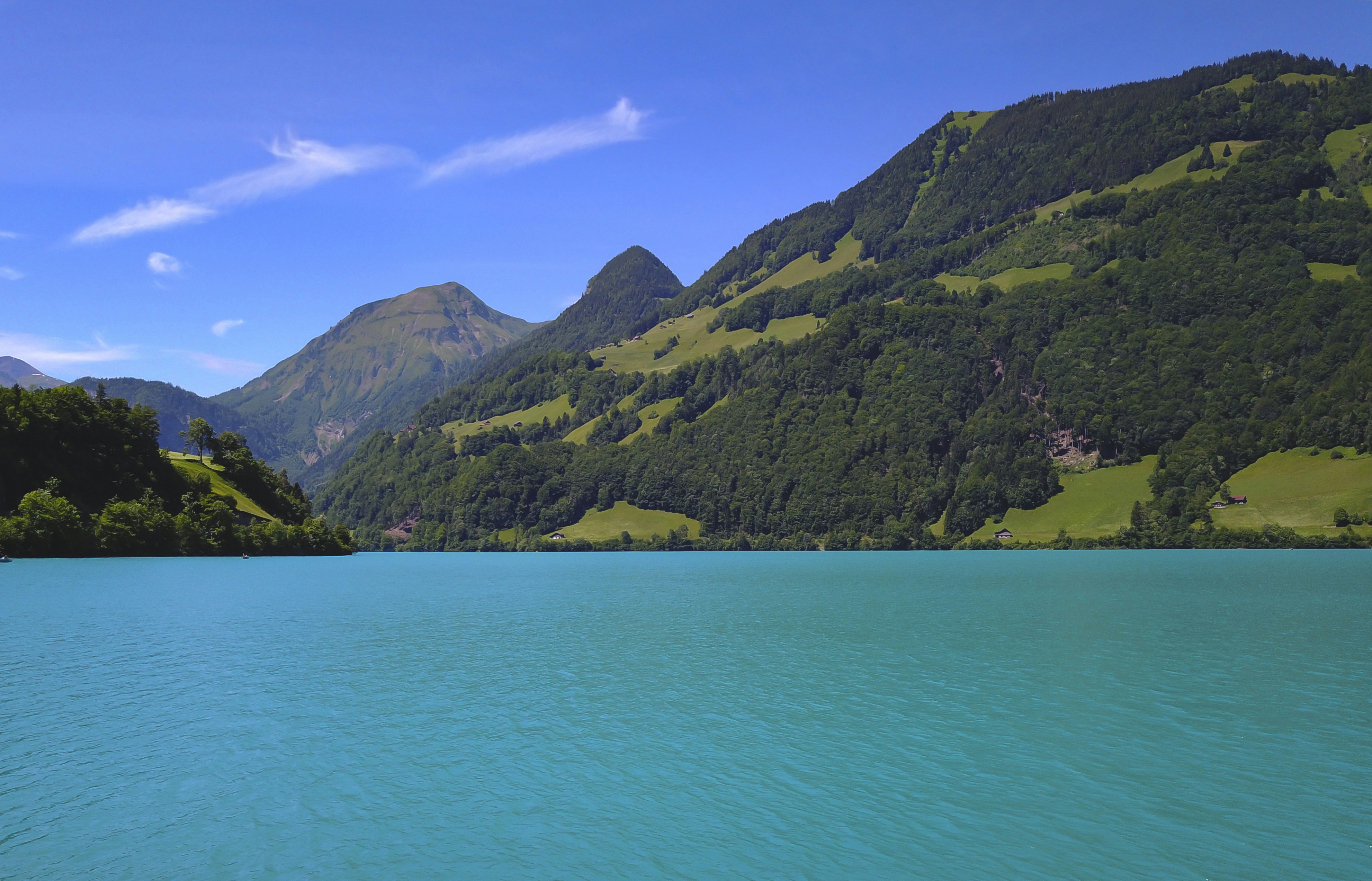 Photo by leo_visions_