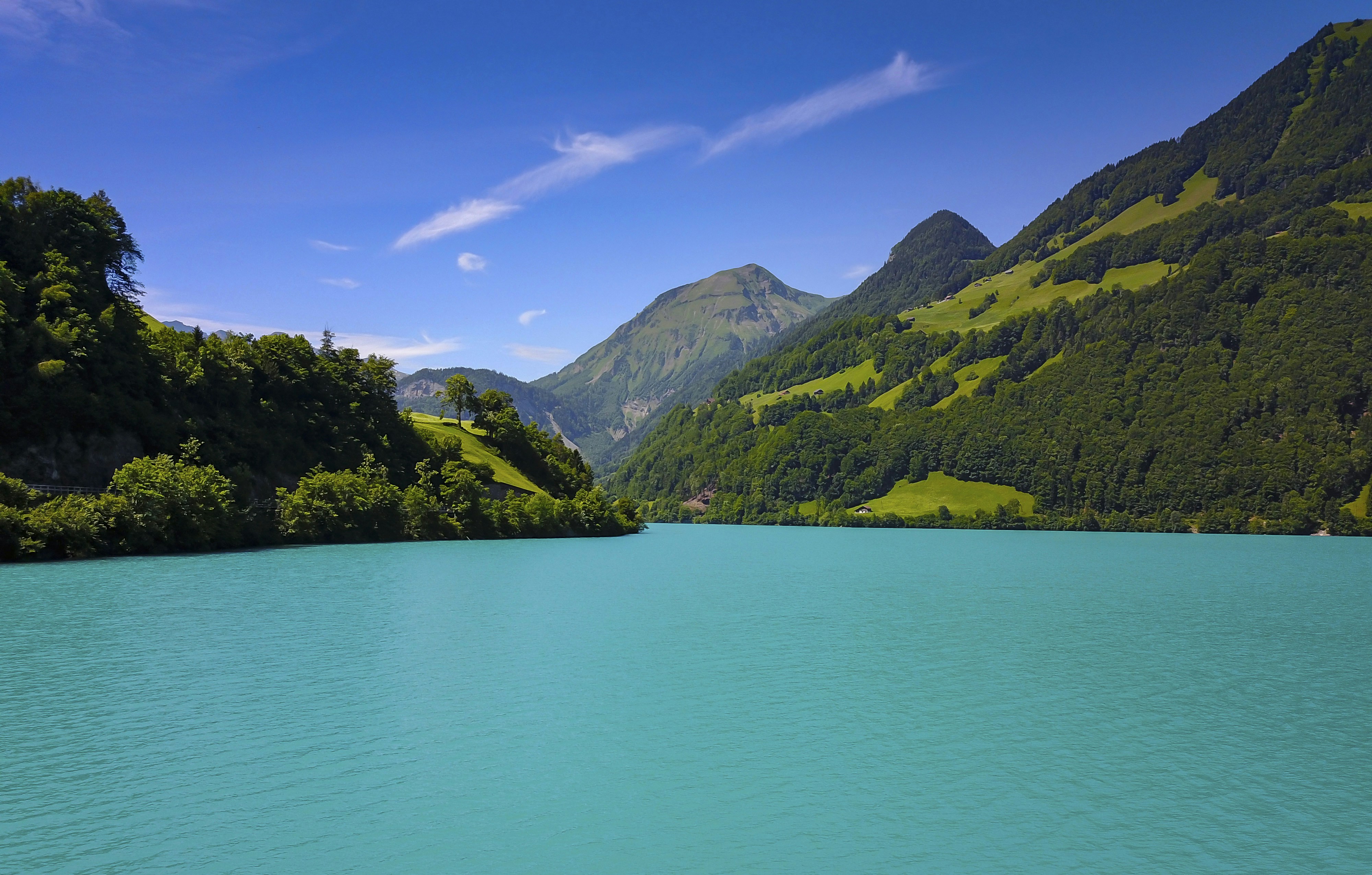 Photo by leo_visions_