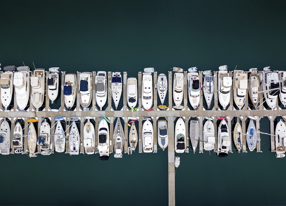 una fila di scarpe su un rack