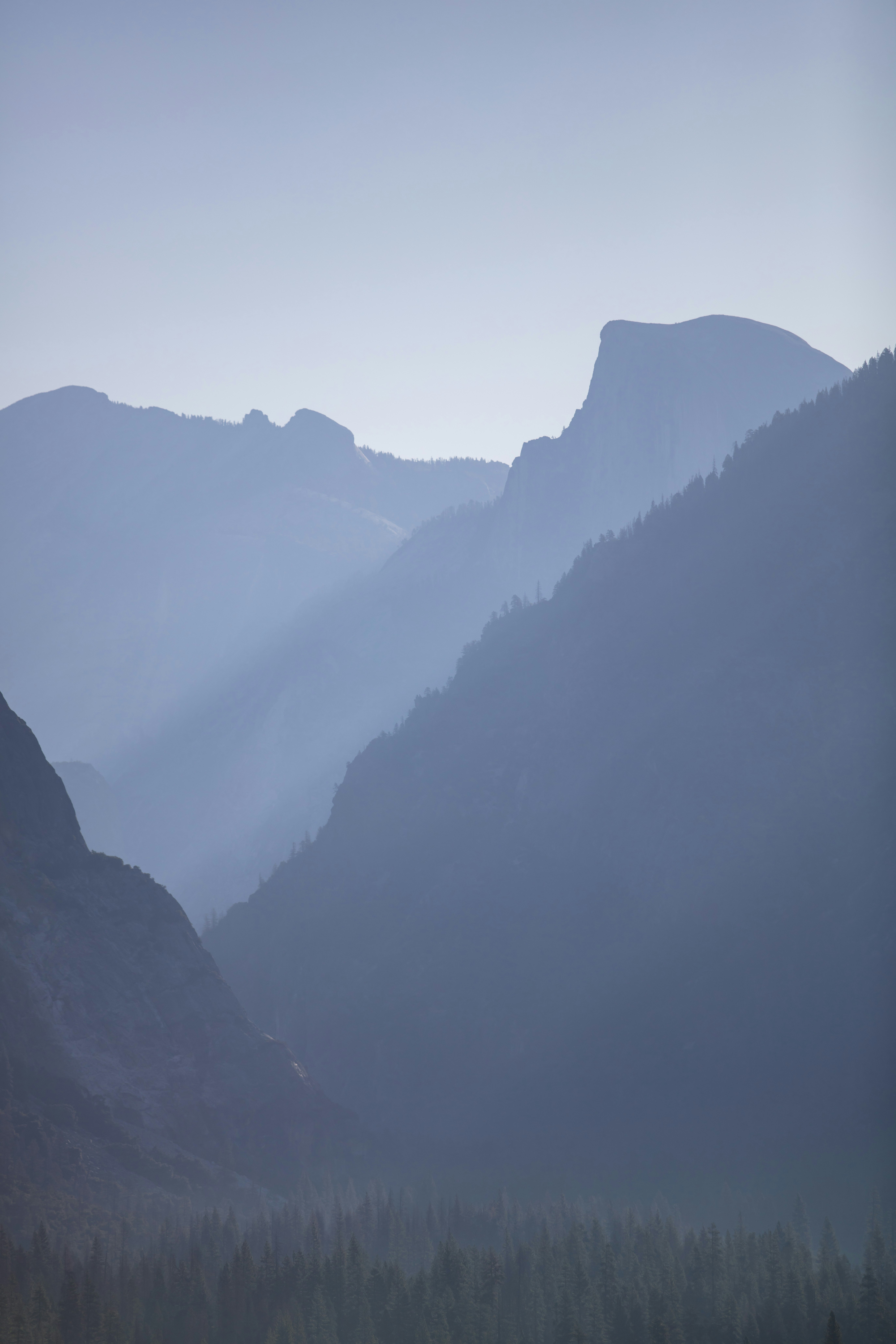 Photo by leo_visions_