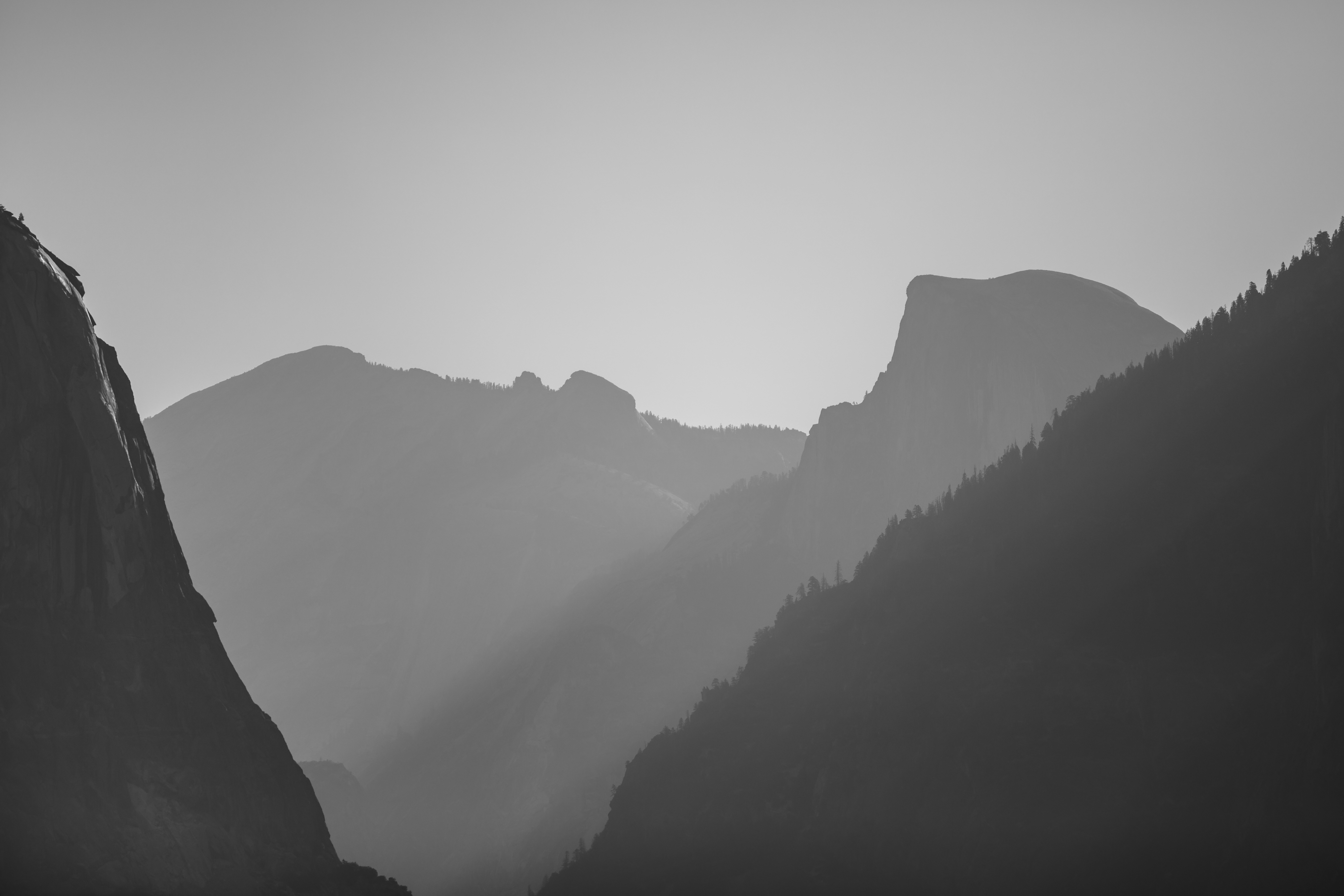 Photo by leo_visions_