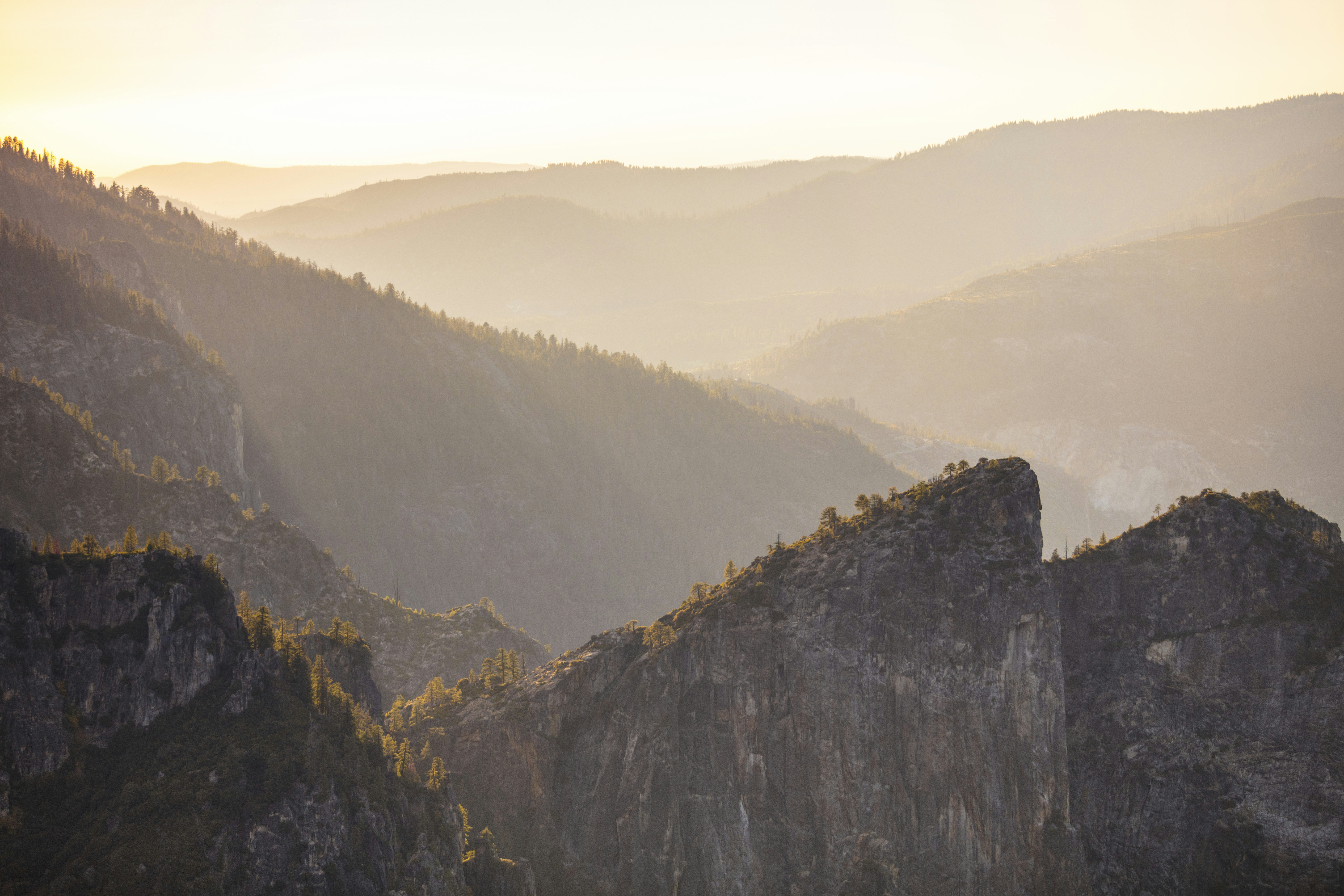 Photo by leo_visions_