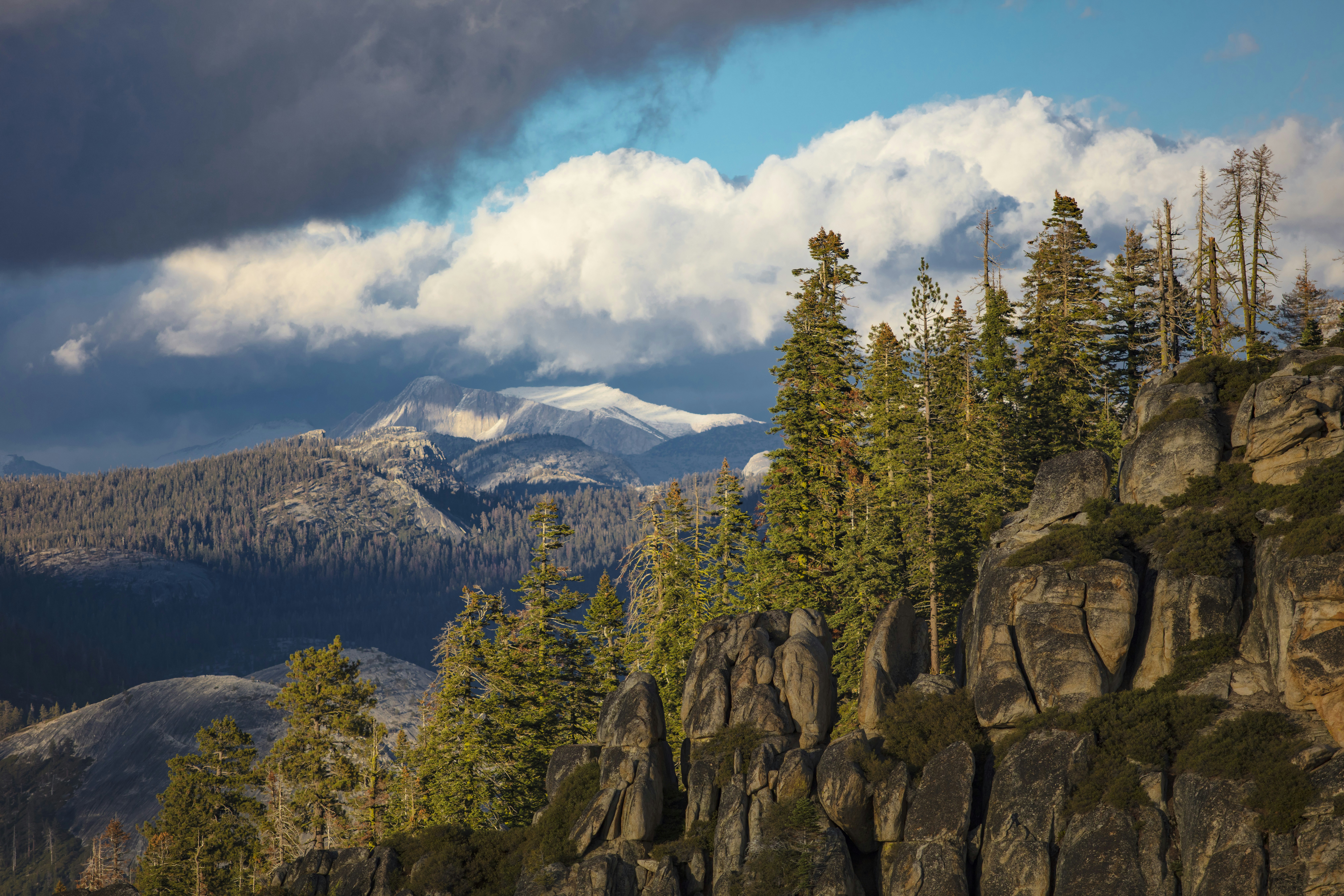 Photo by leo_visions_