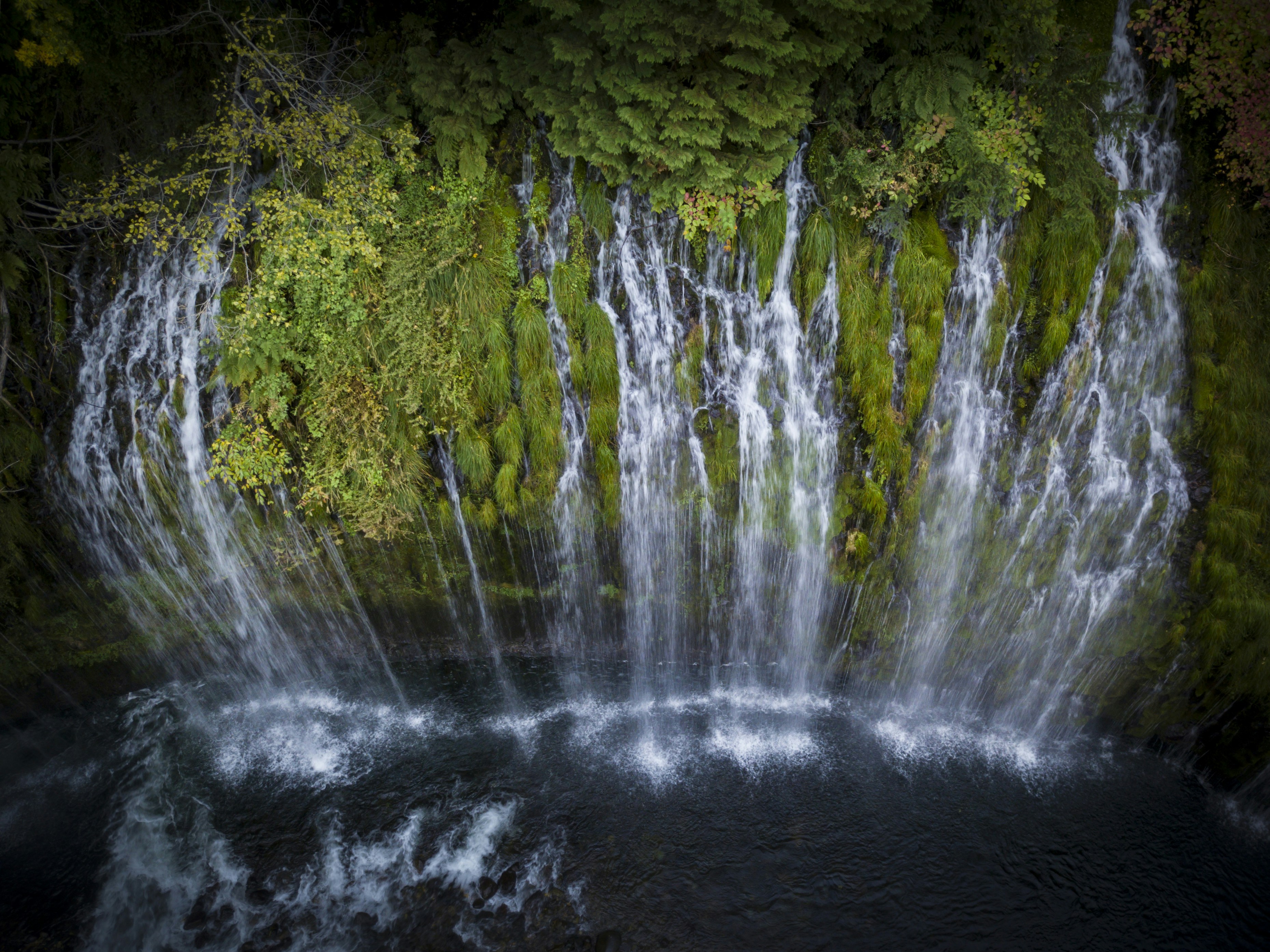 A waterfall with trees around it photo – Free Green Image on Unsplash