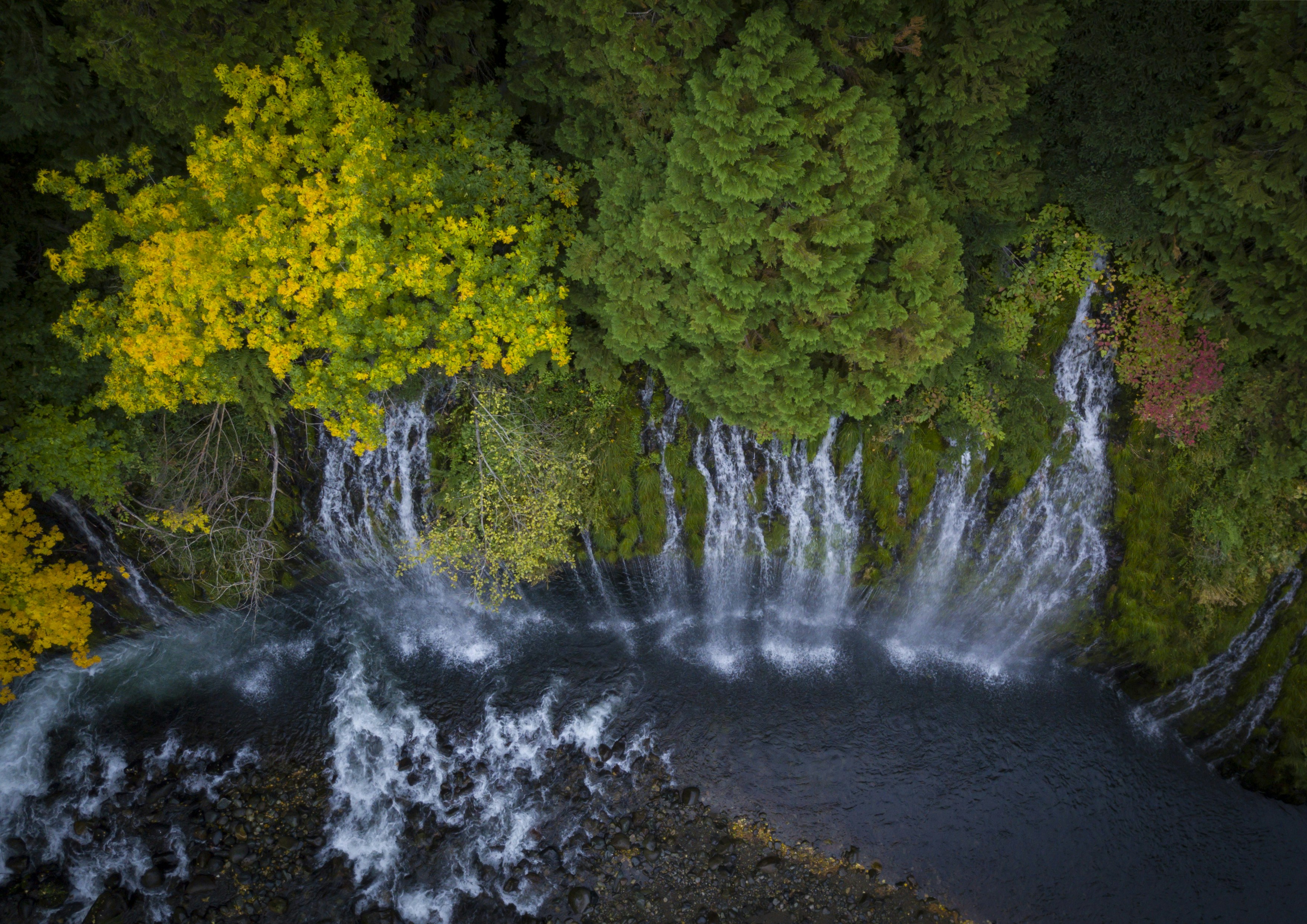 Photo by leo_visions_