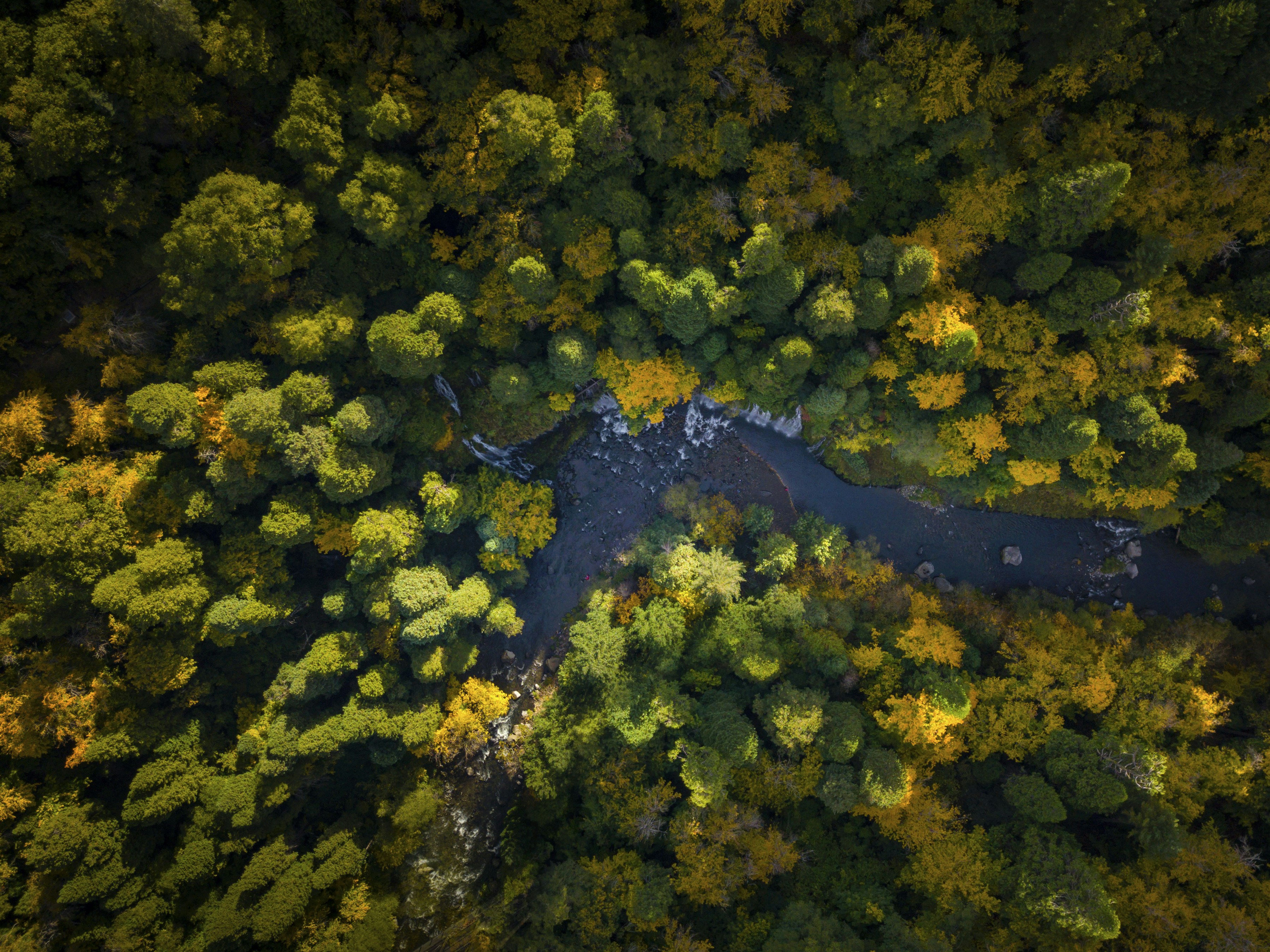 Photo by leo_visions_