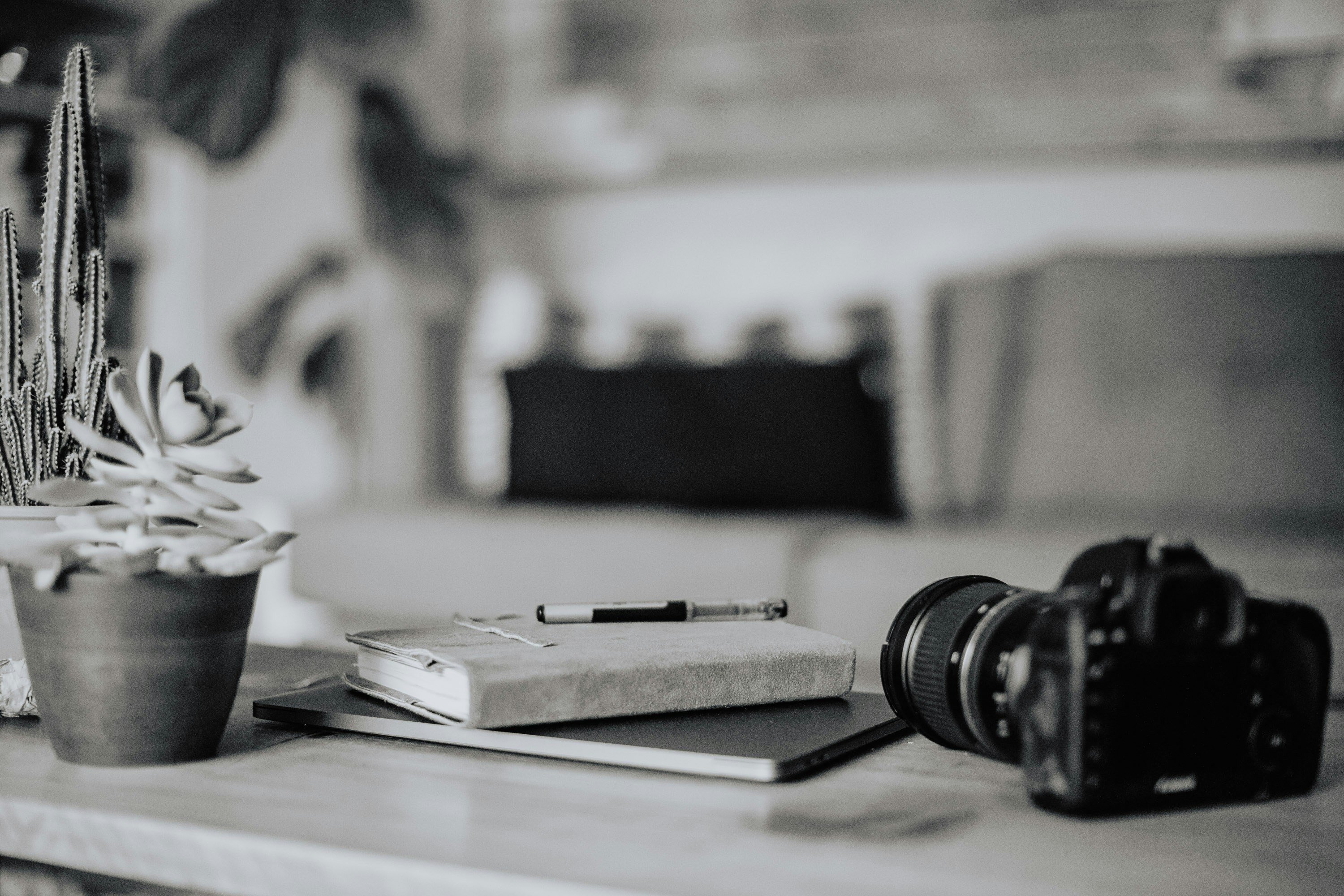 Photo by katiewallacephoto