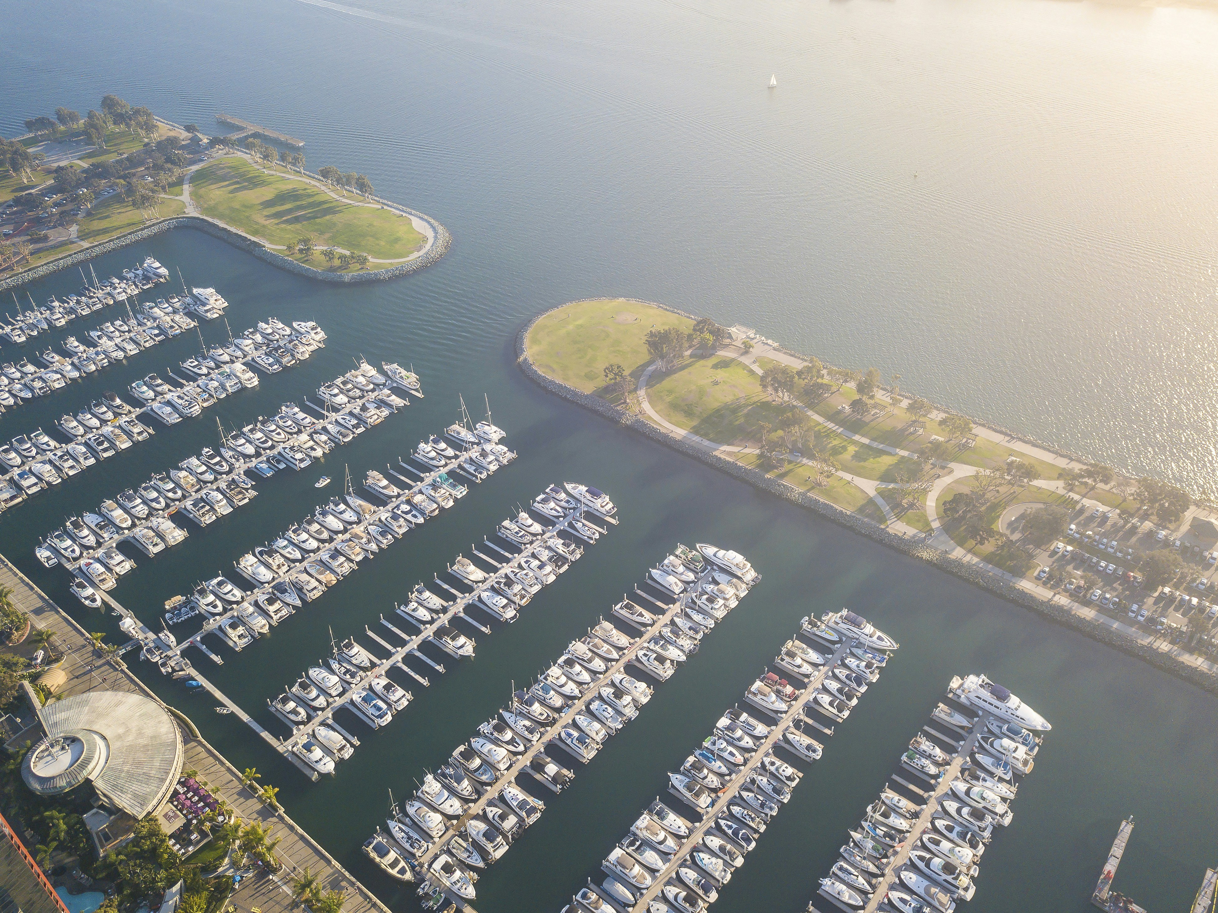 Photo by leo_visions_