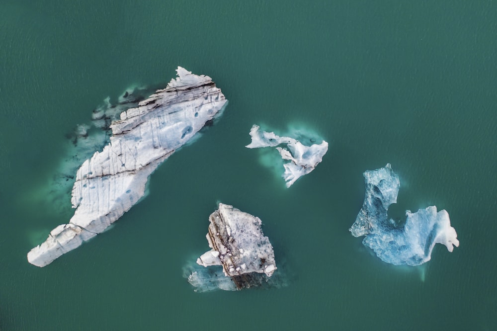icebergs in the water