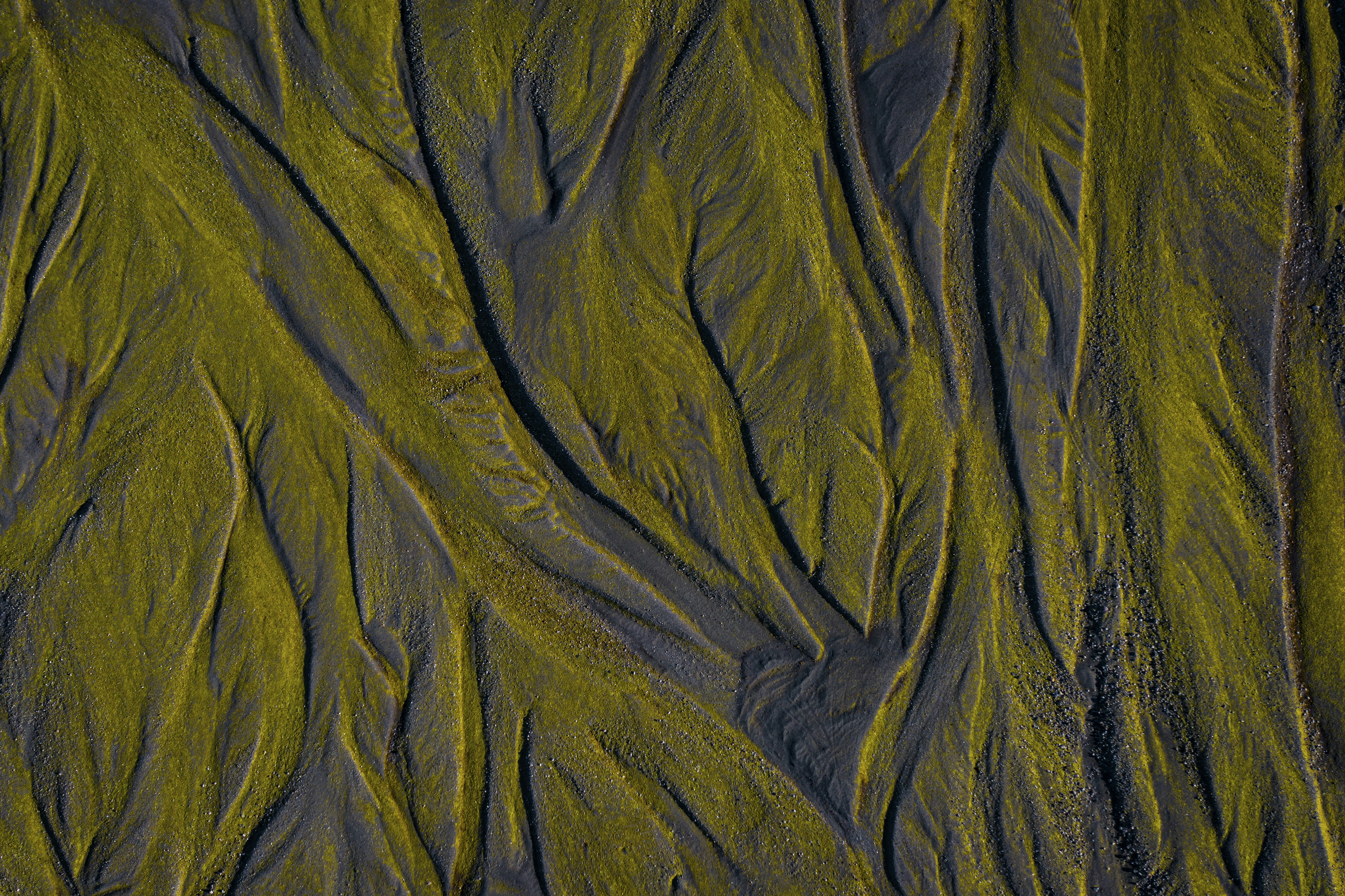 Photo by leo_visions_