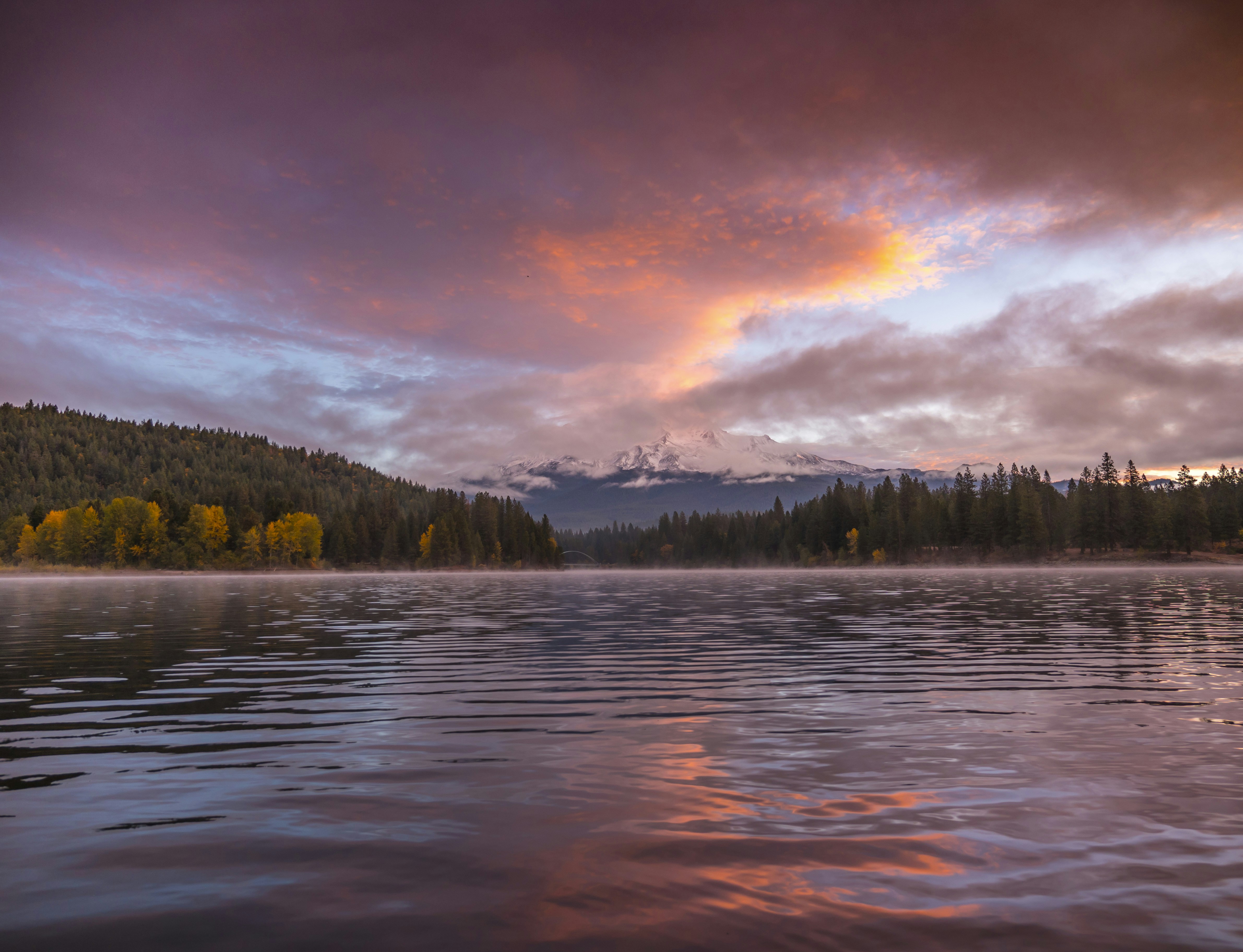 Photo by leo_visions_