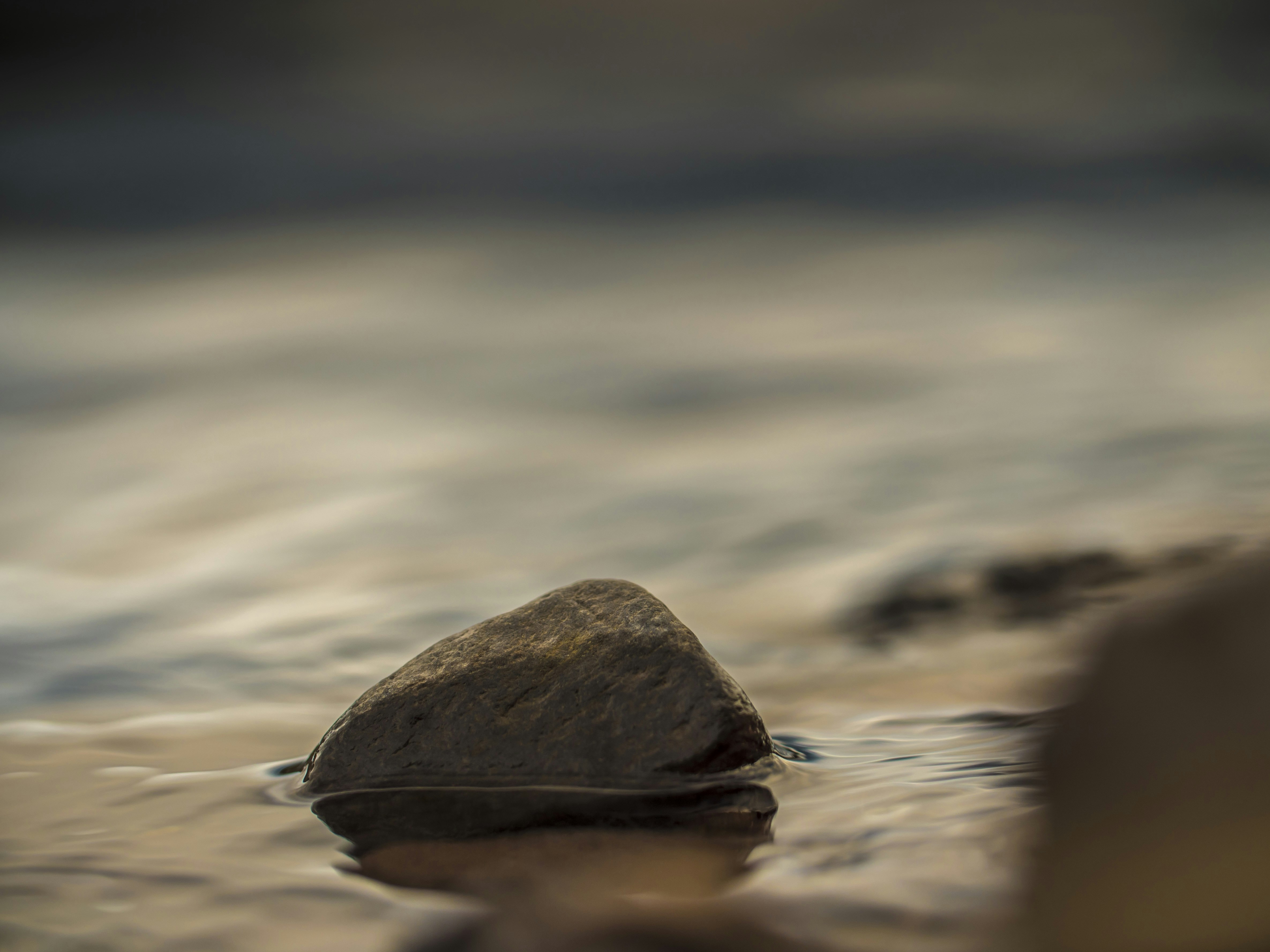 Photo by leo_visions_