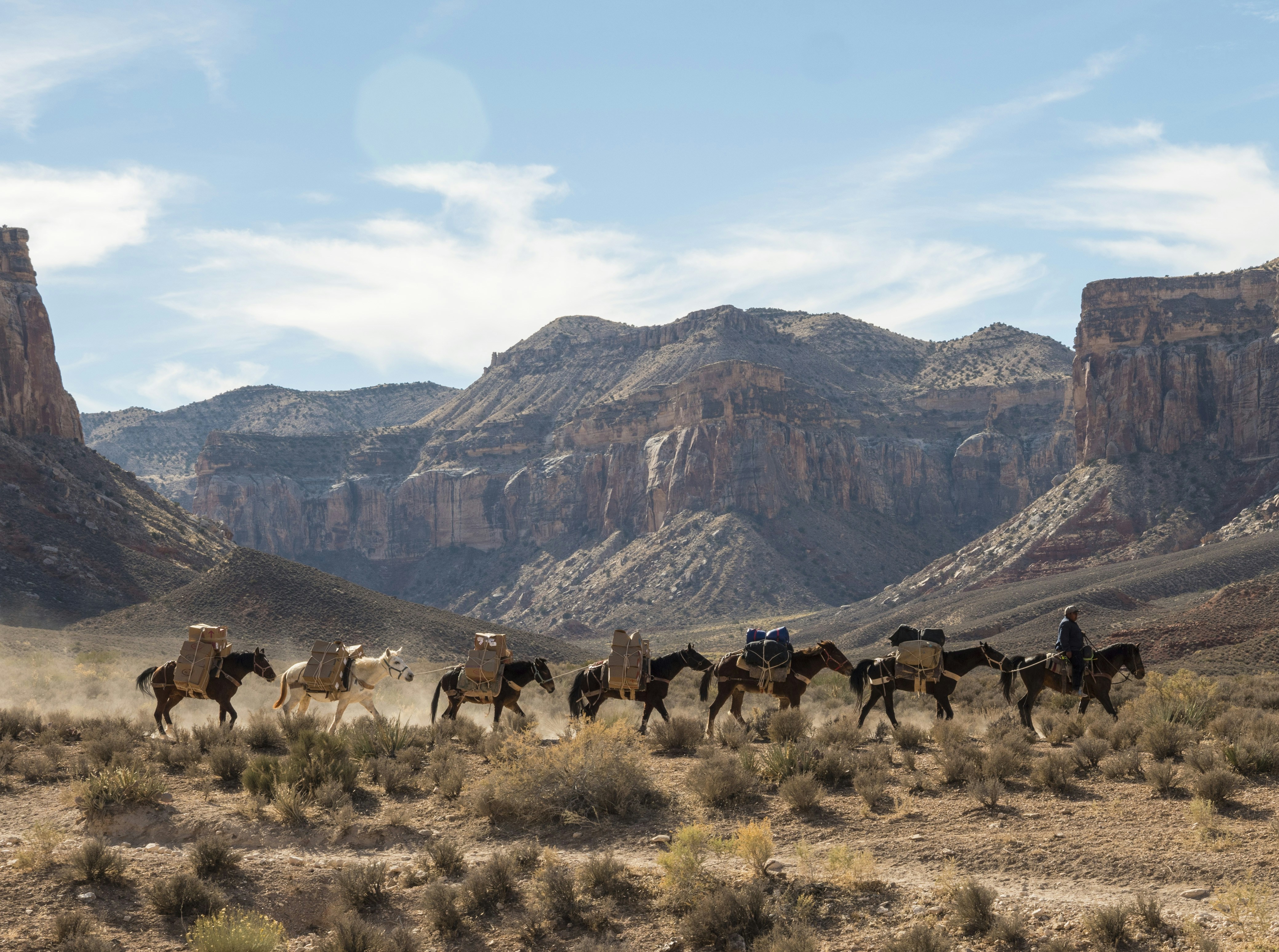 Photo by leo_visions_