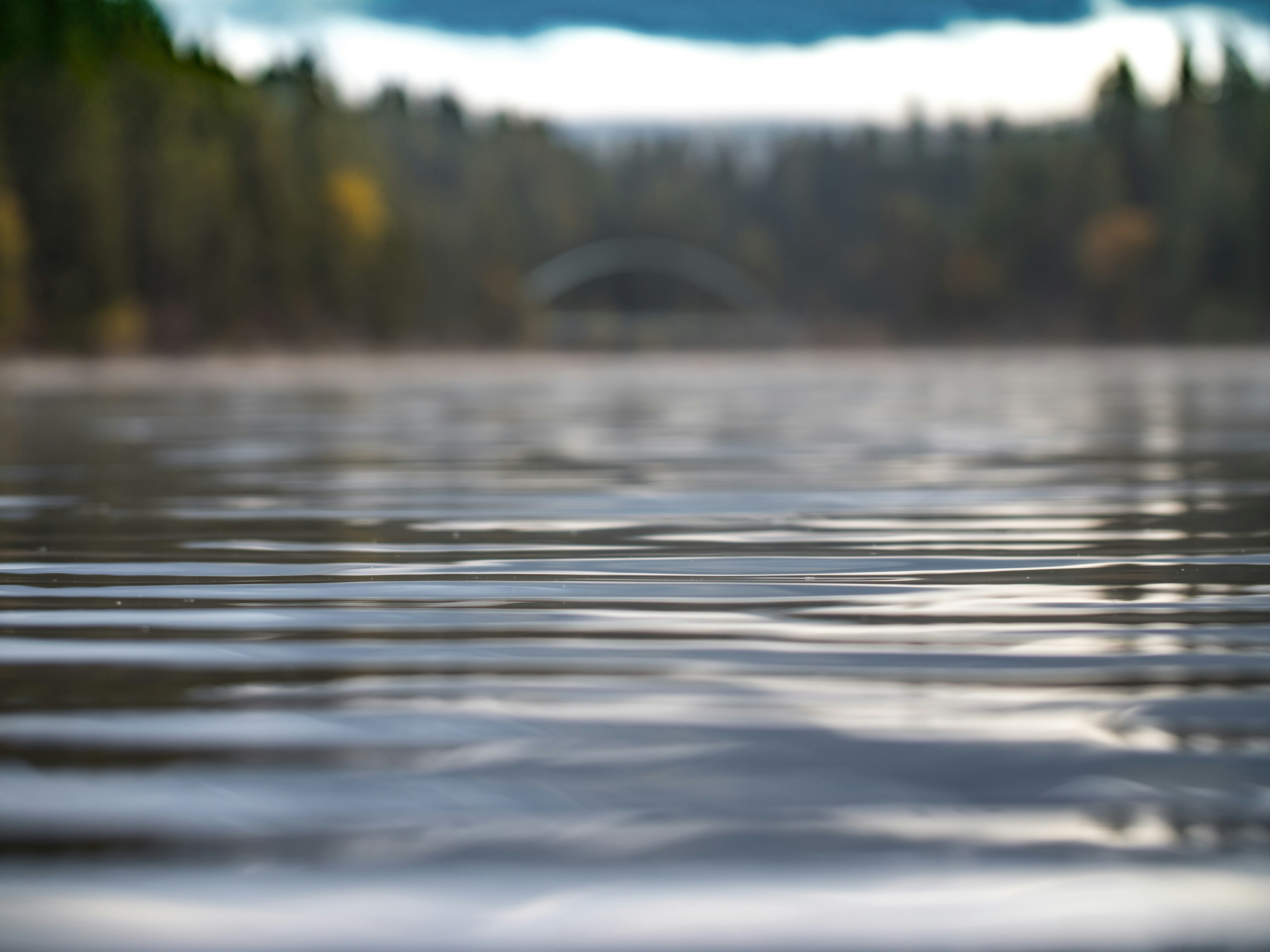 Photo by leo_visions_