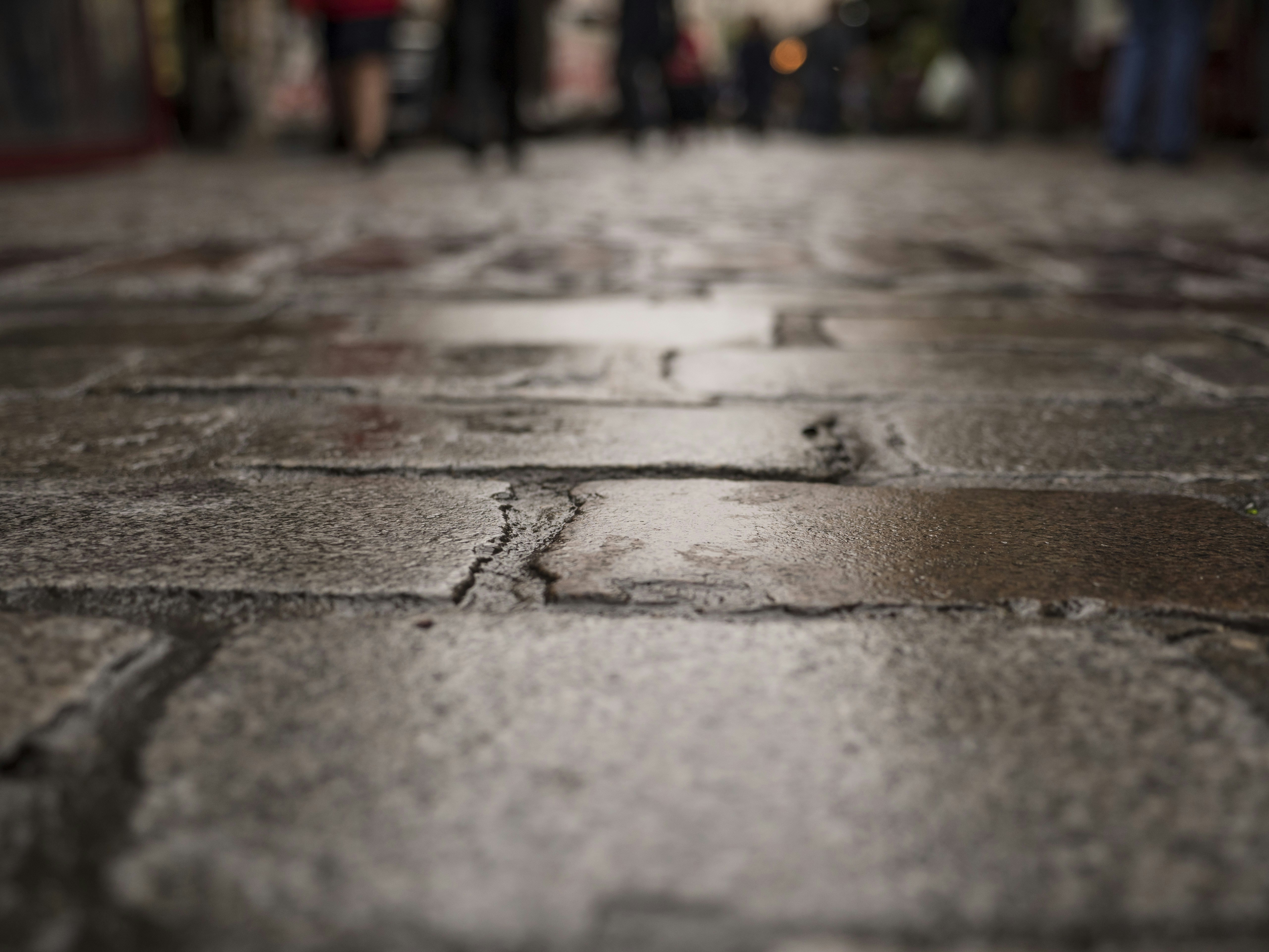 Photo by leo_visions_