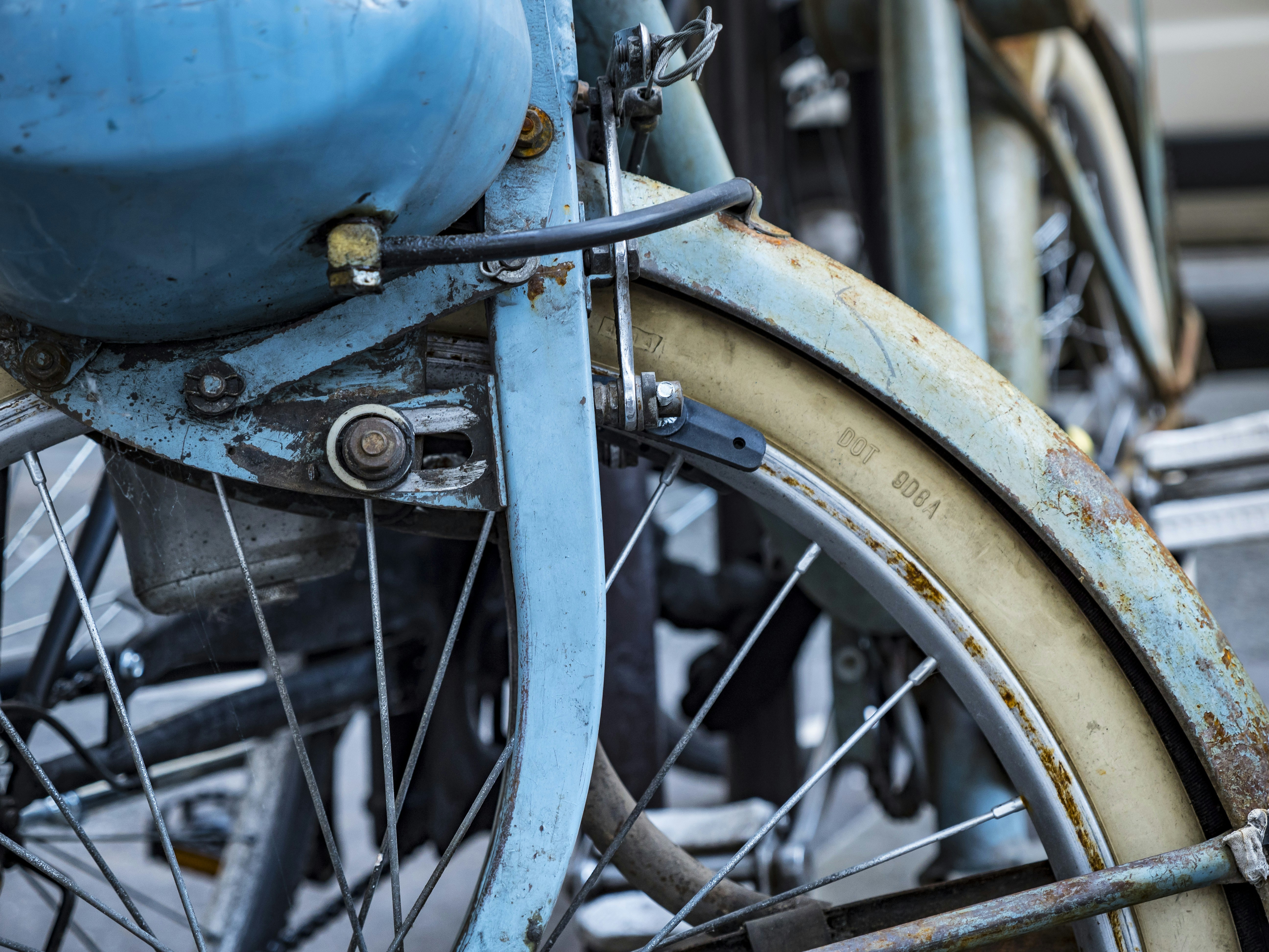 Photo by leo_visions_