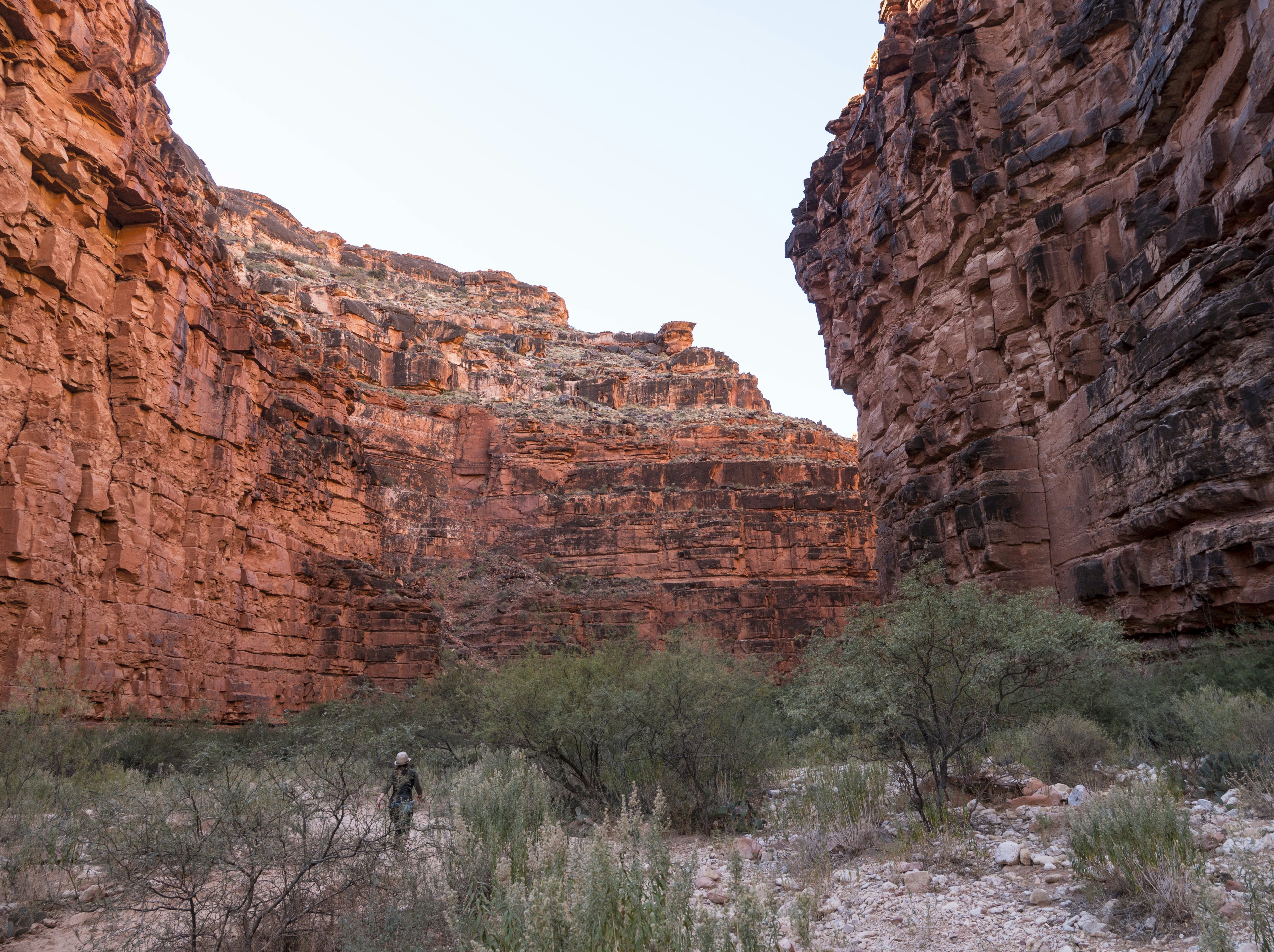 Photo by leo_visions_