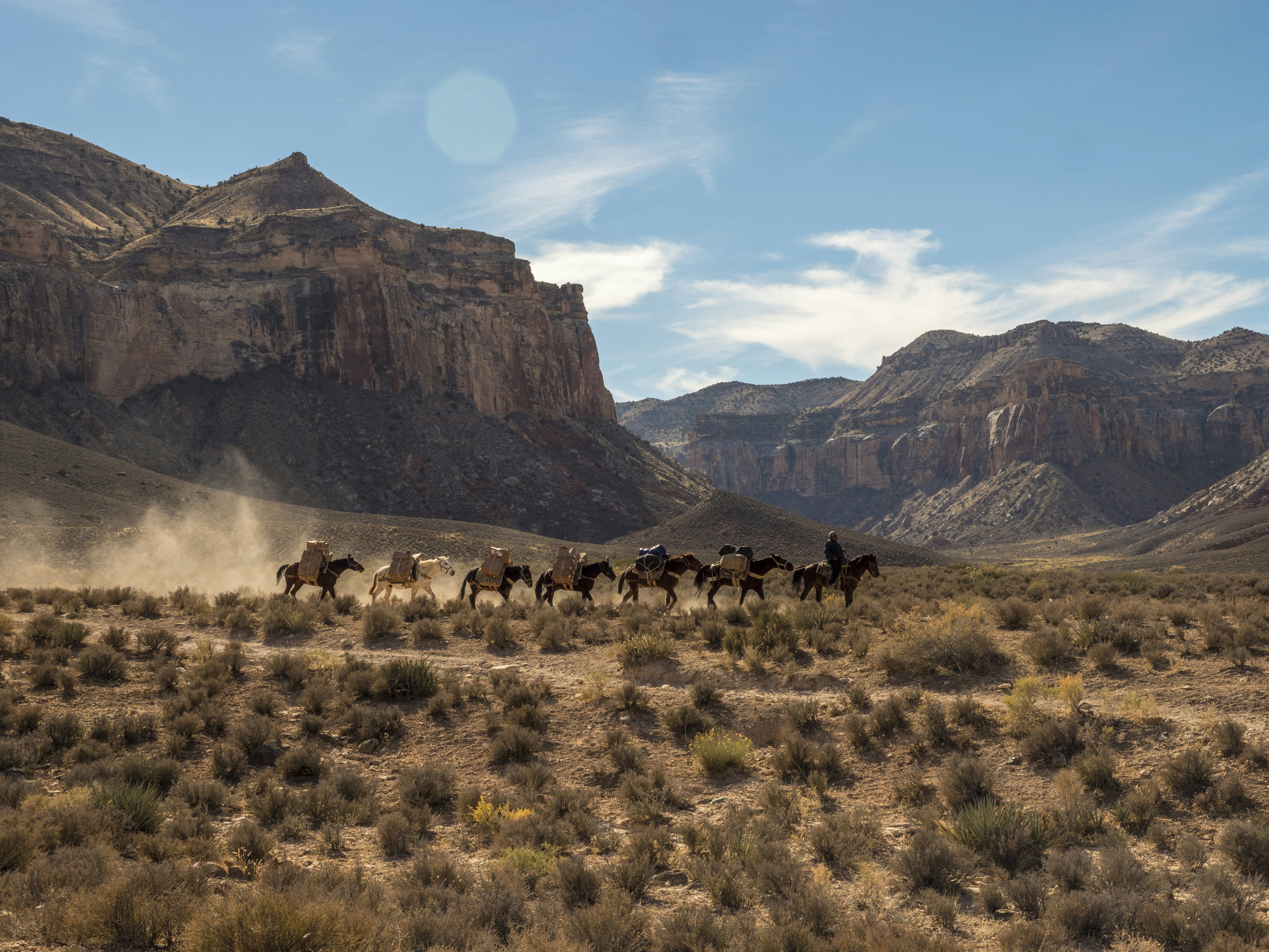 Photo by leo_visions_