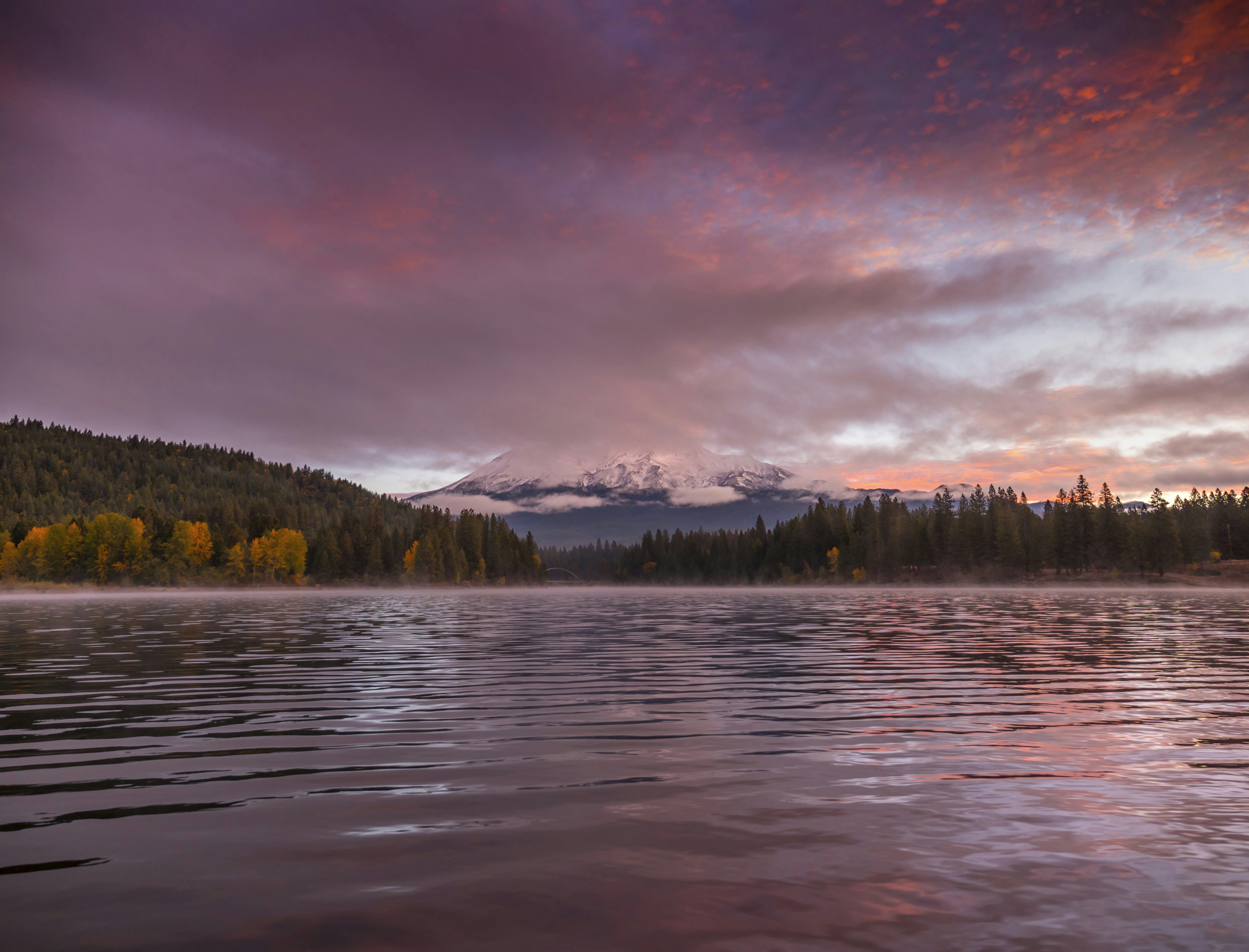 Photo by leo_visions_