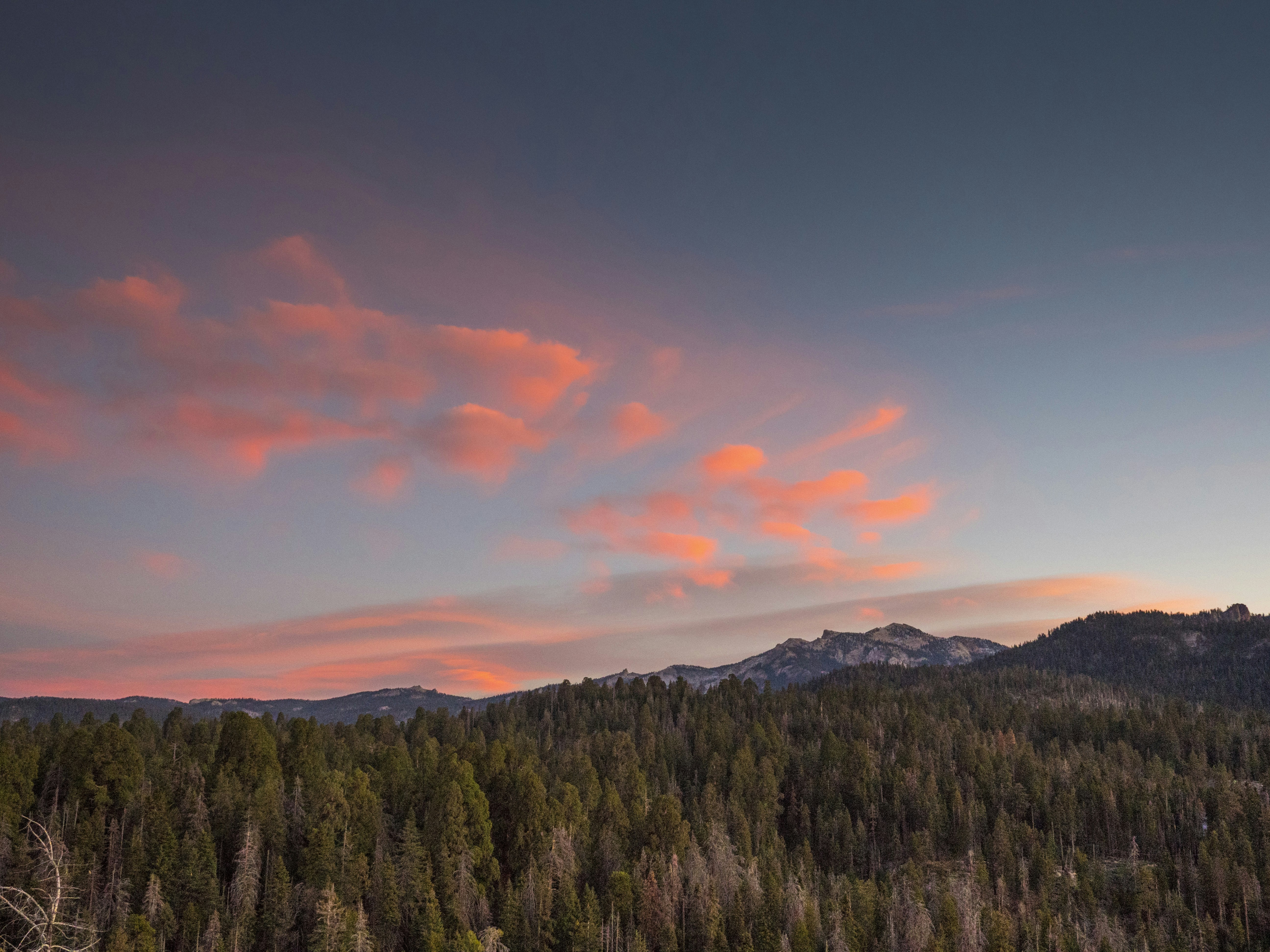 Photo by leo_visions_