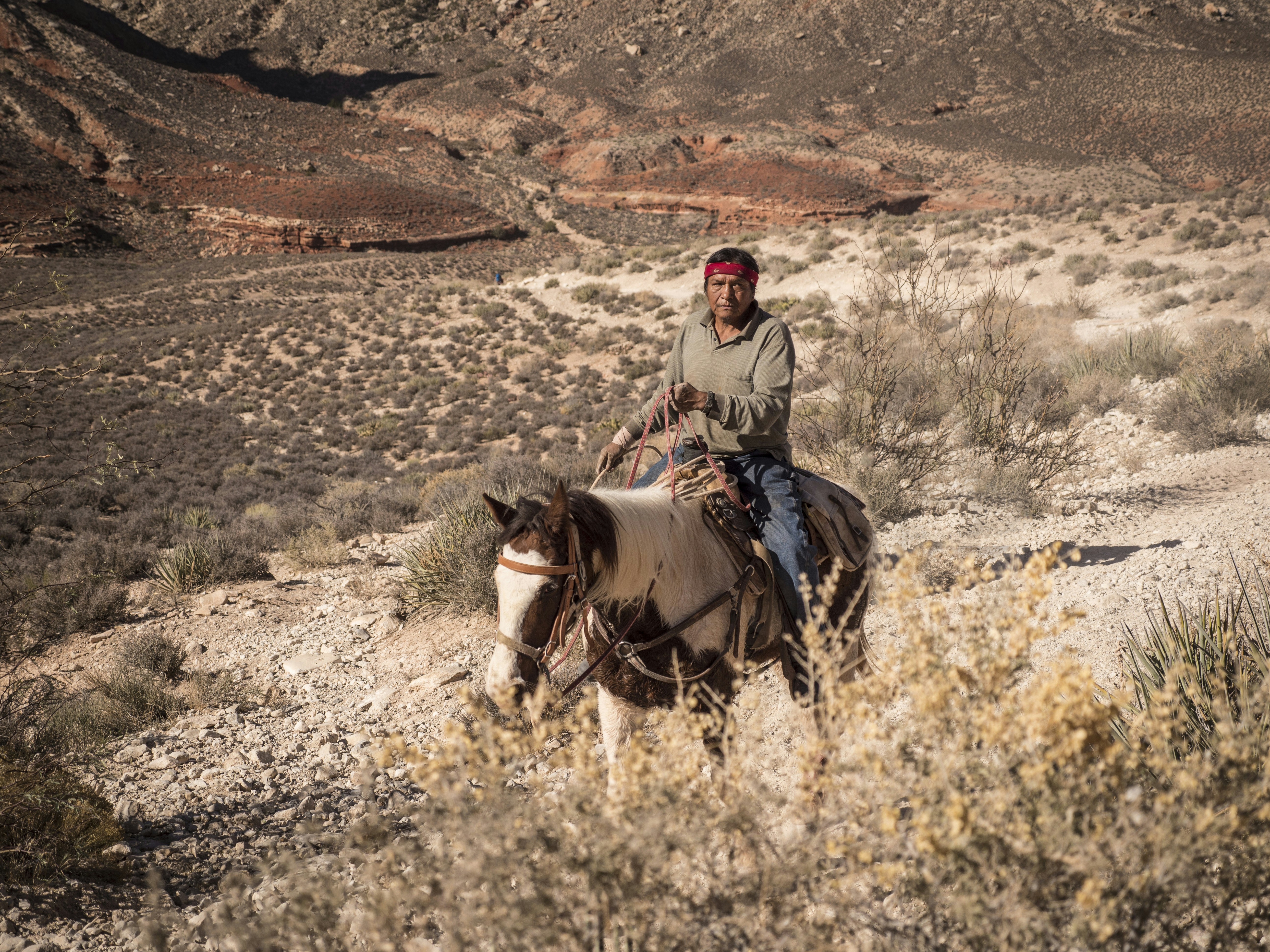 Photo by leo_visions_