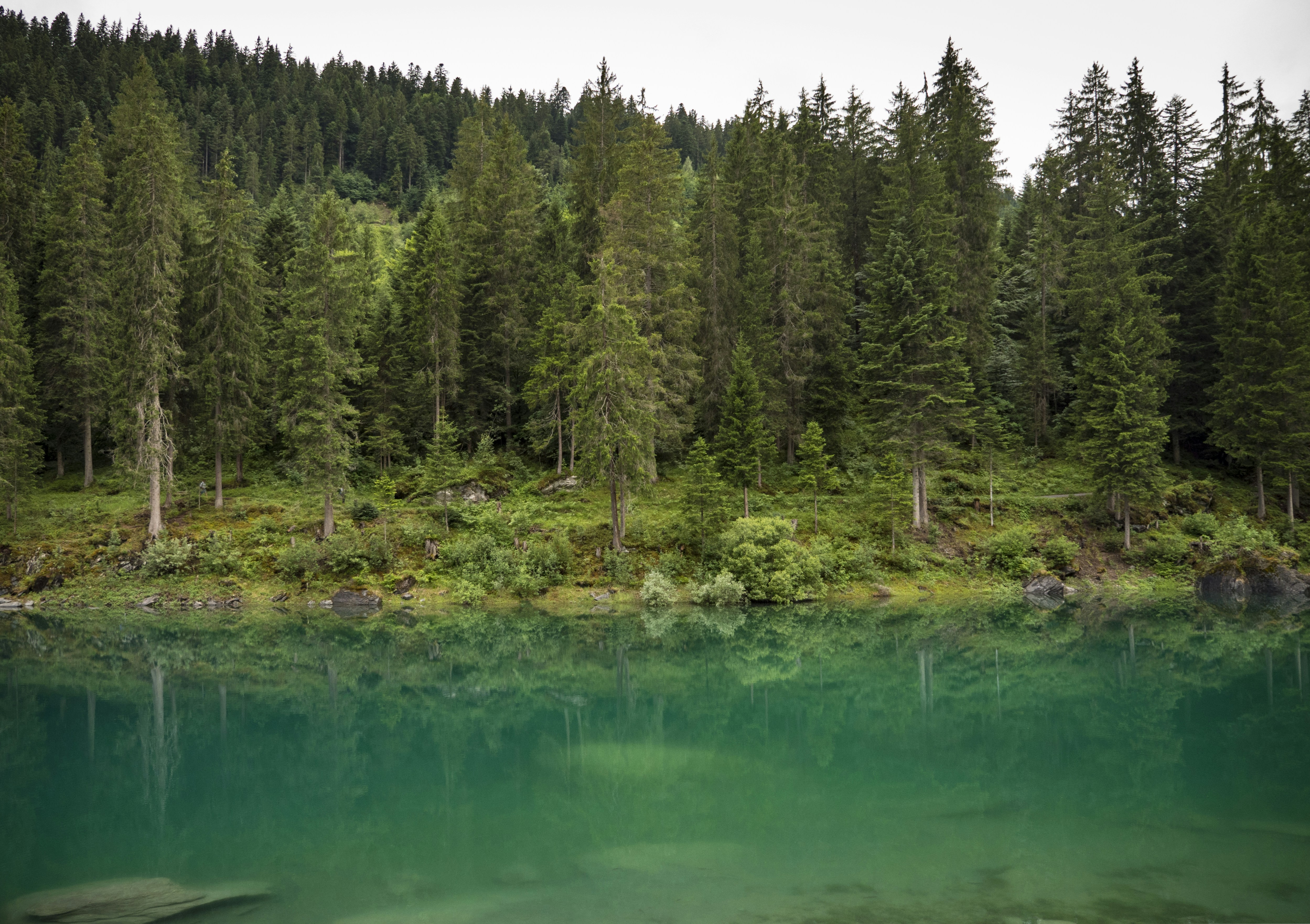 Photo by leo_visions_