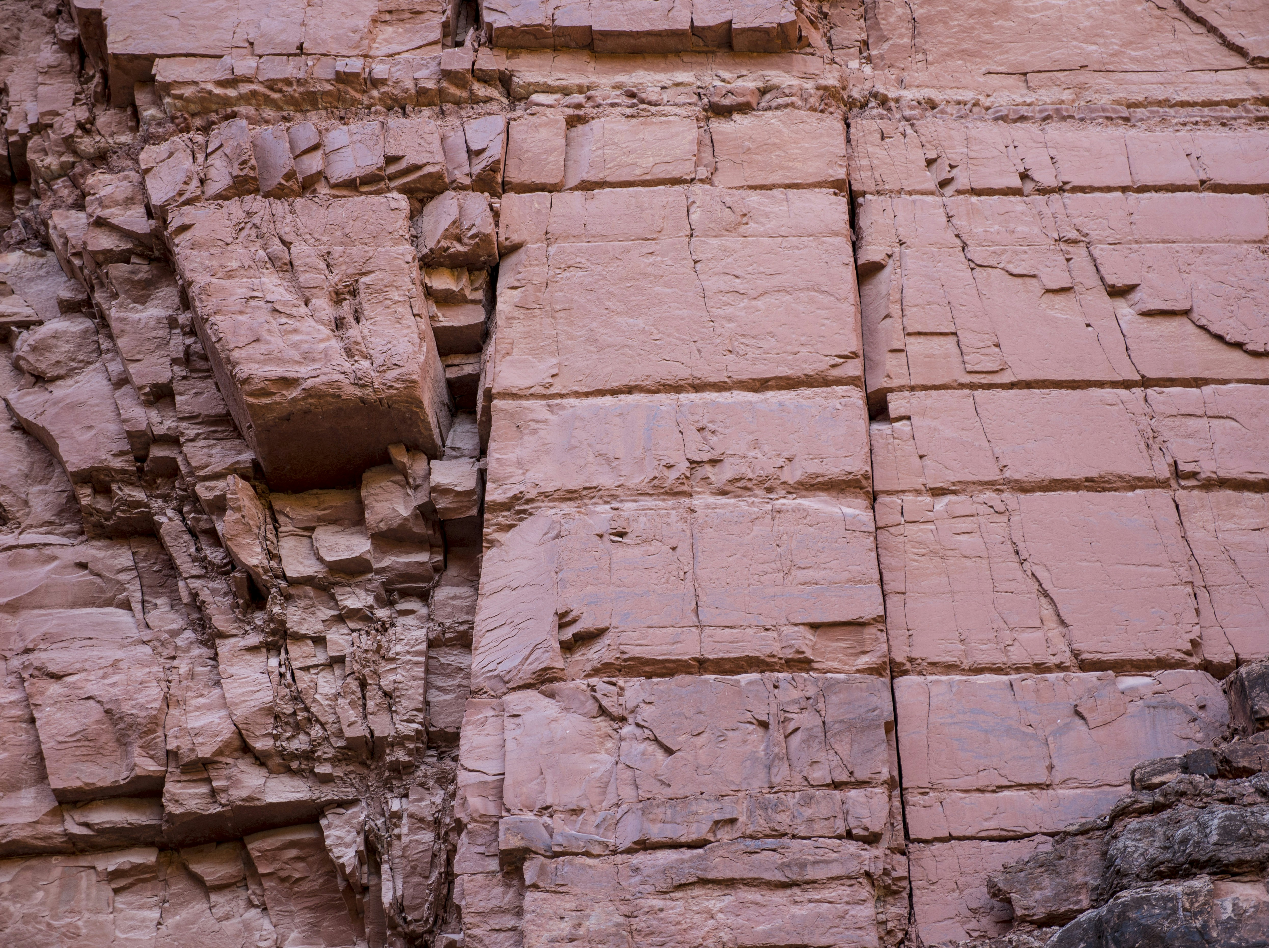 Photo by leo_visions_