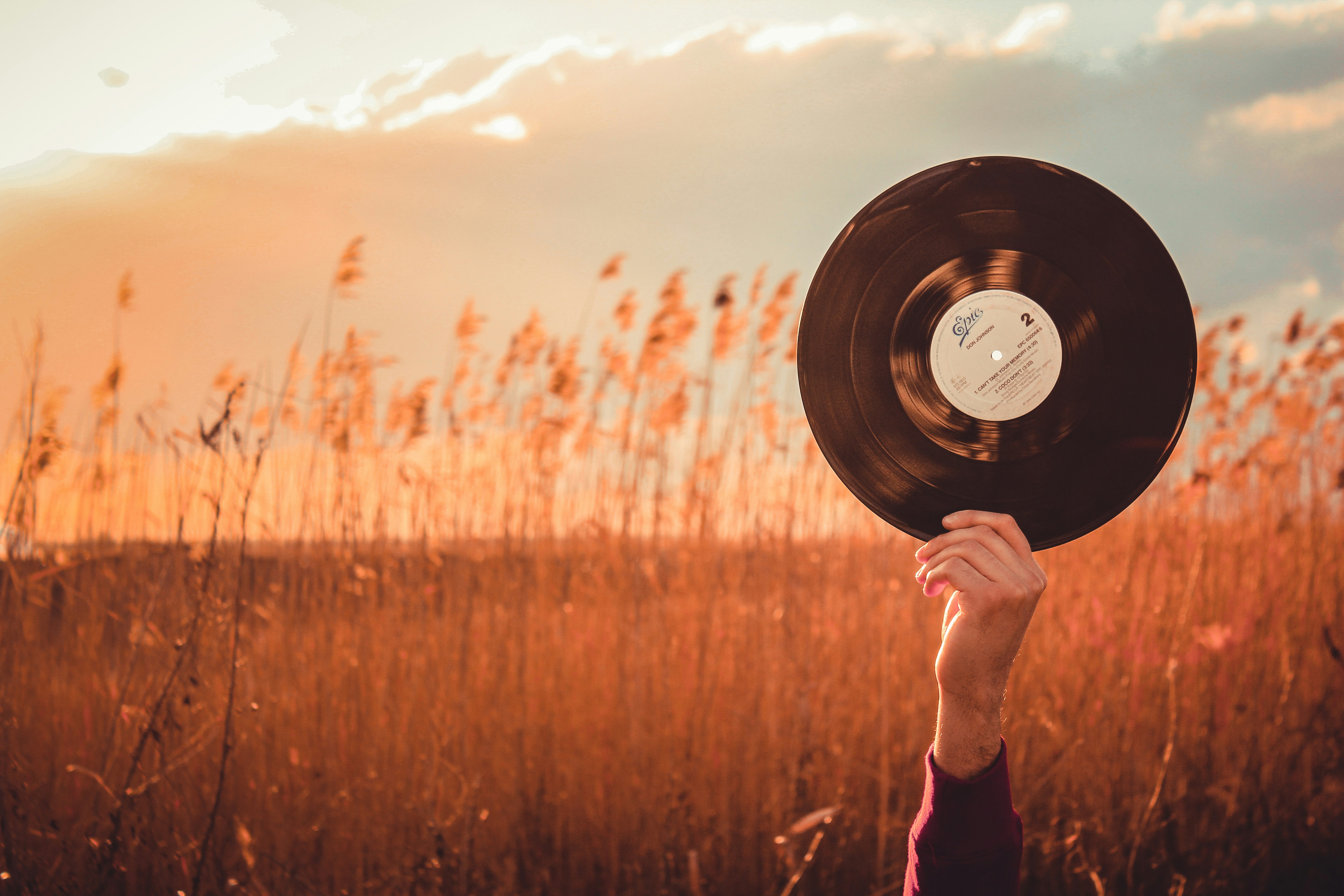 man holding up a vinyl in a field full of plants
