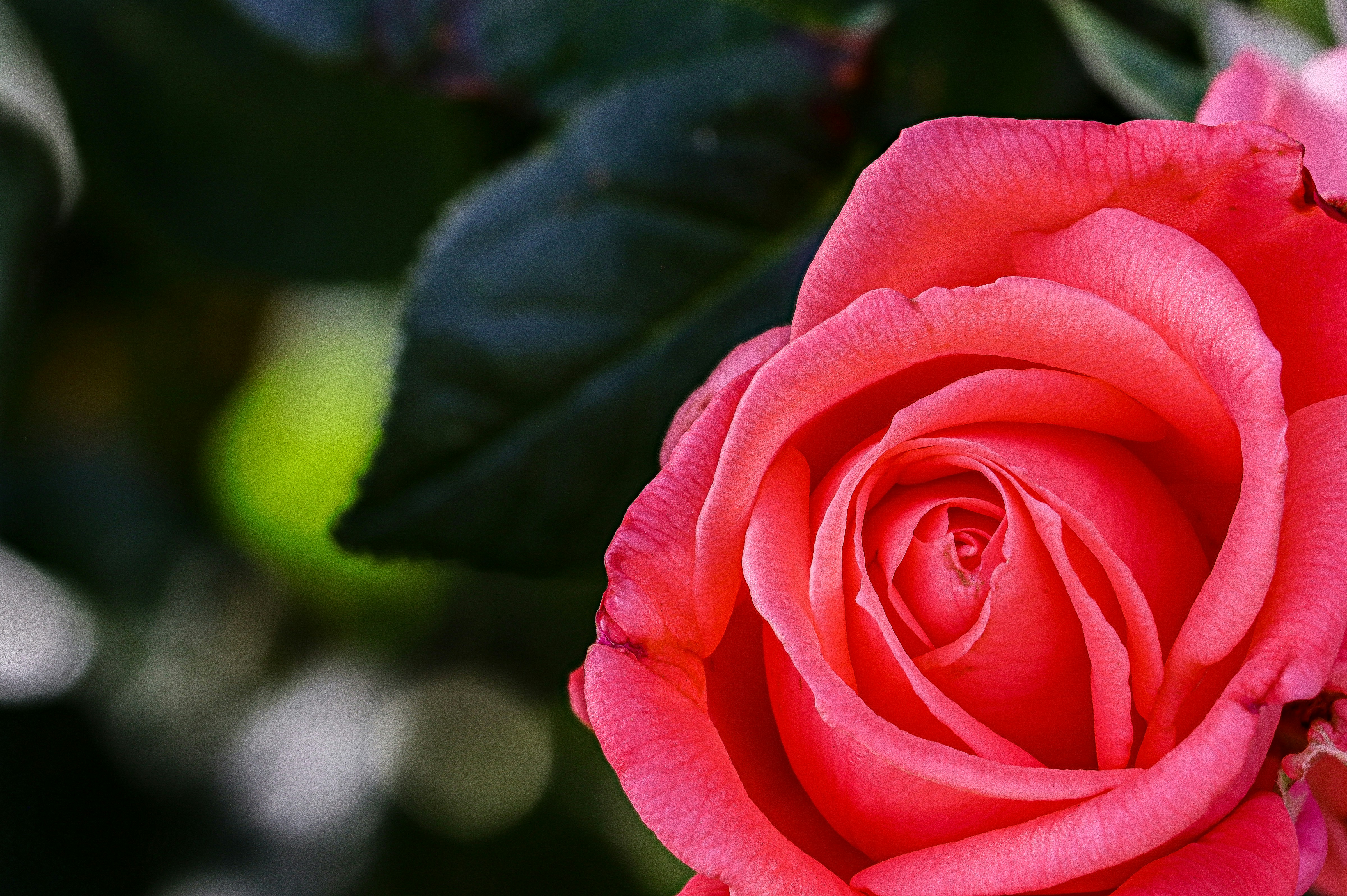 Photo by rs2photography