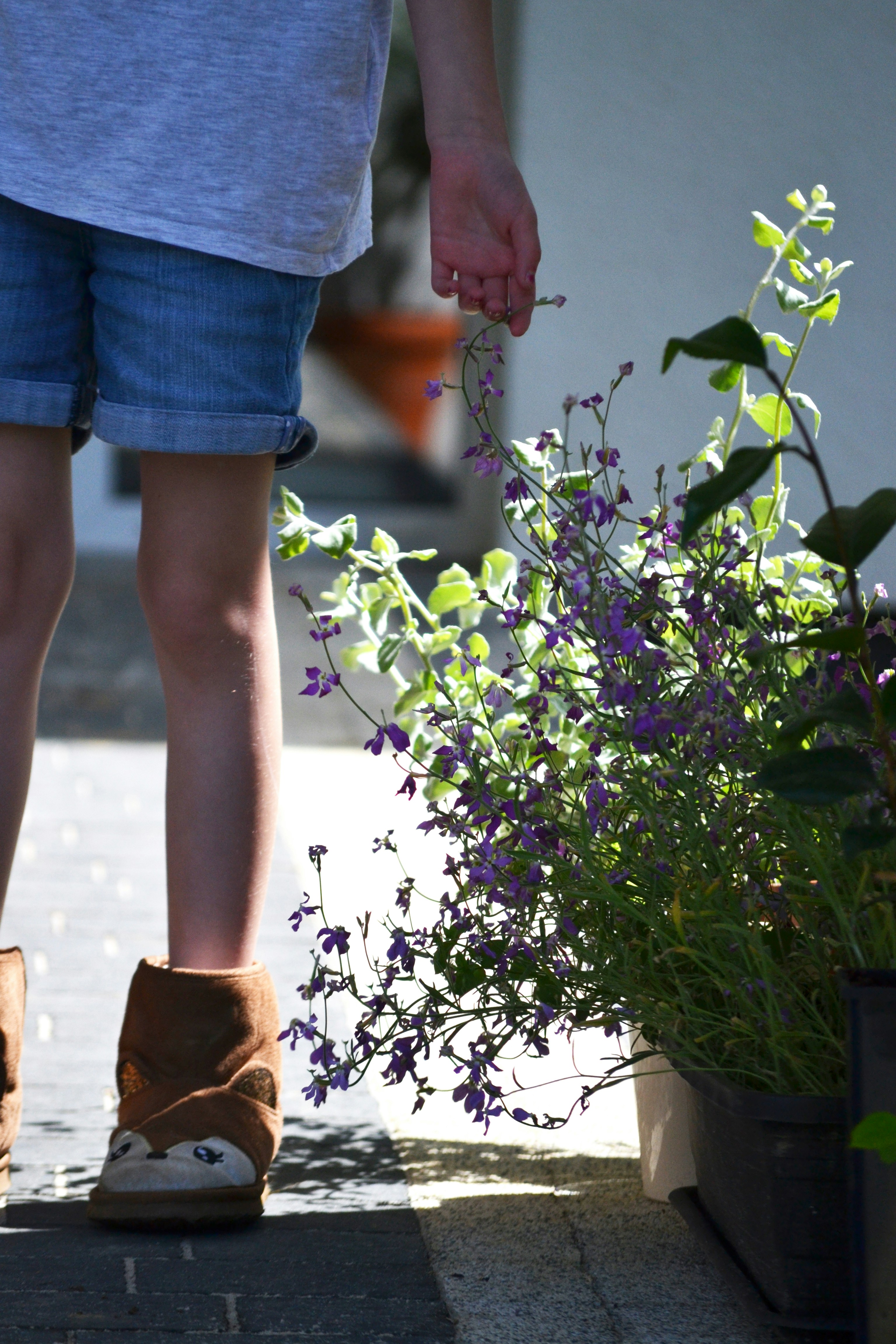 a person holding a plant
