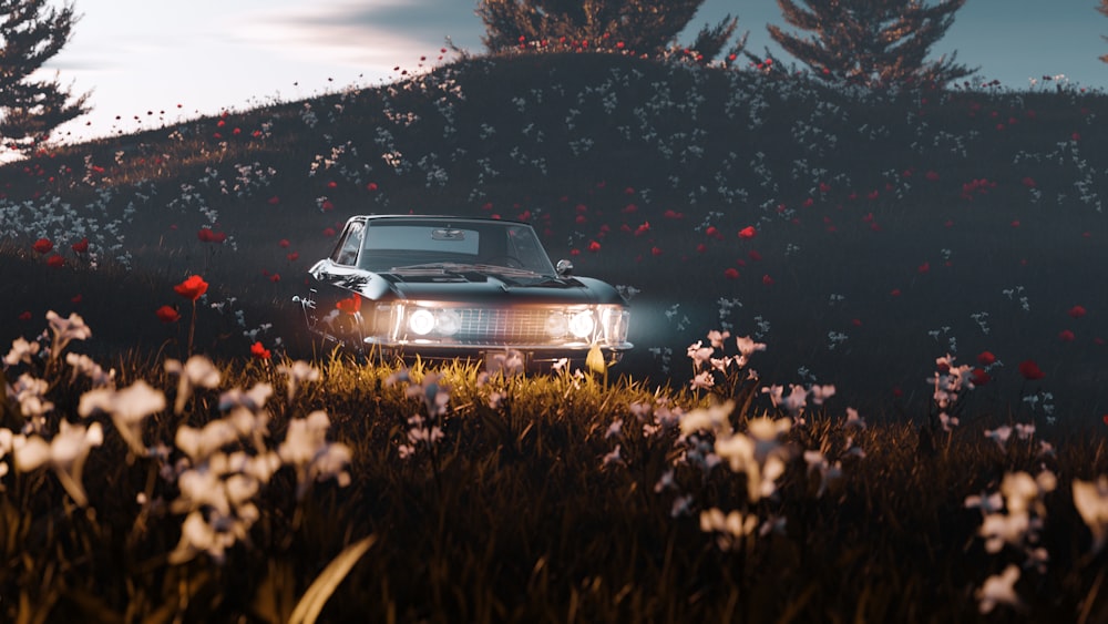 a car driving through a field of flowers