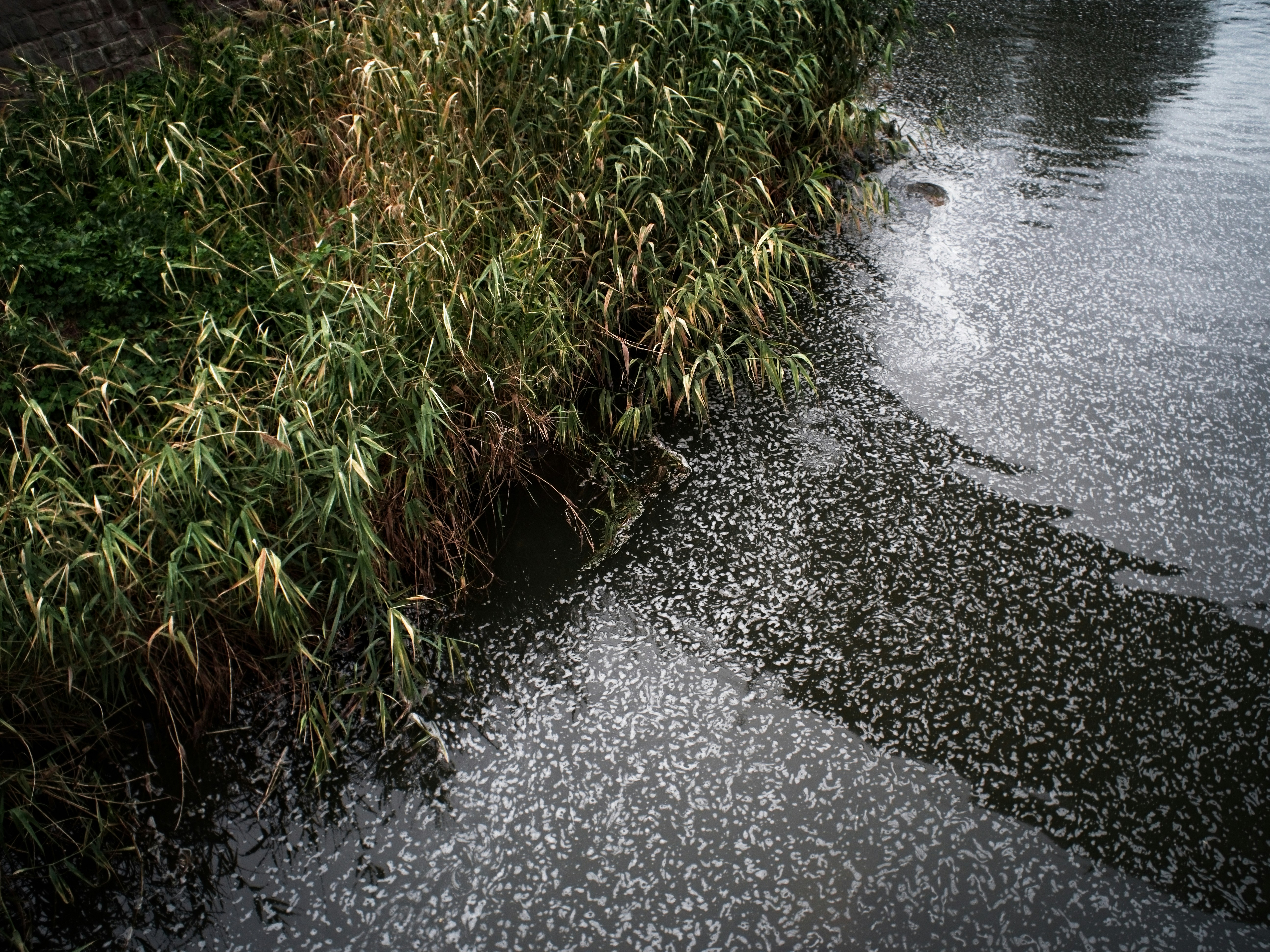 Photo by my_name_is_mia