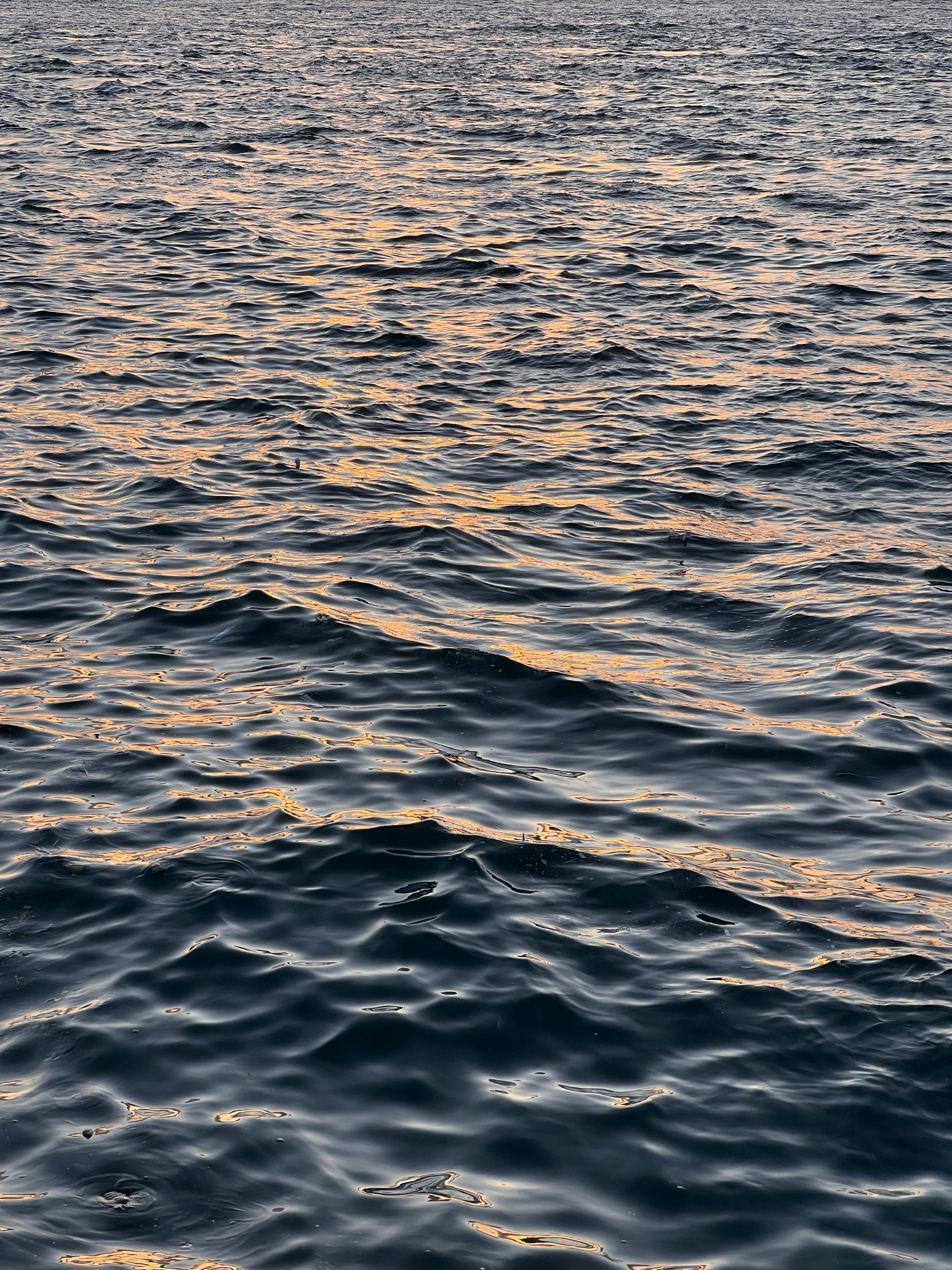 Photo by shivahemmat