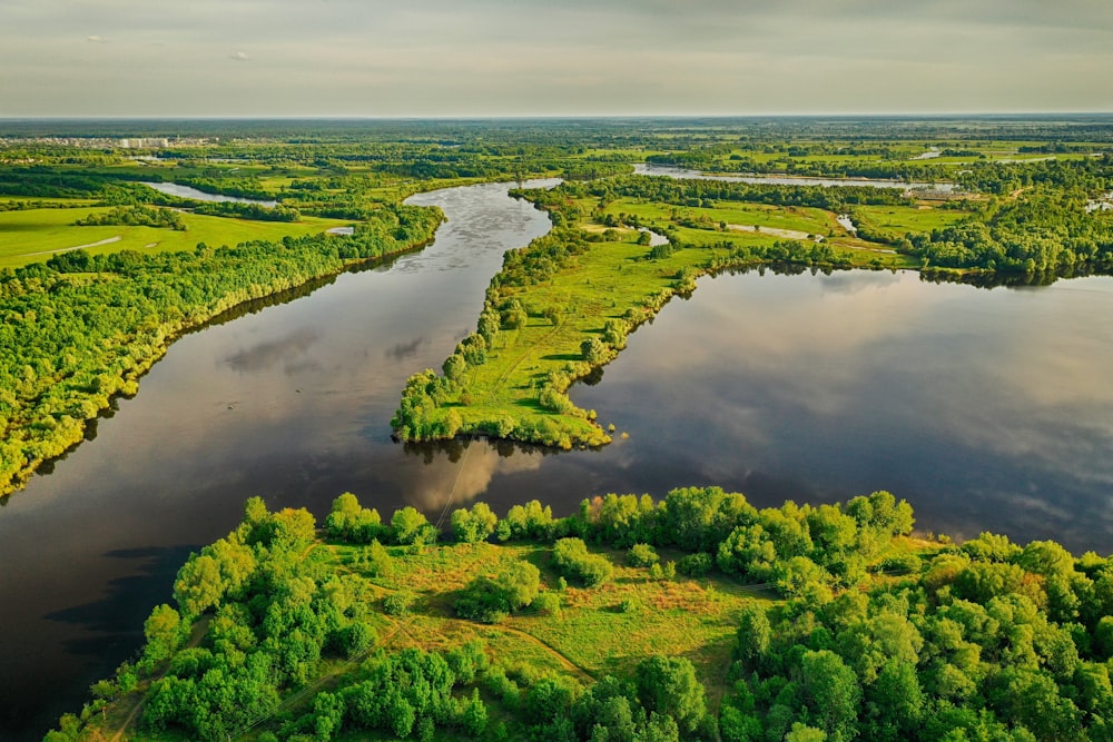 a river with trees and grass