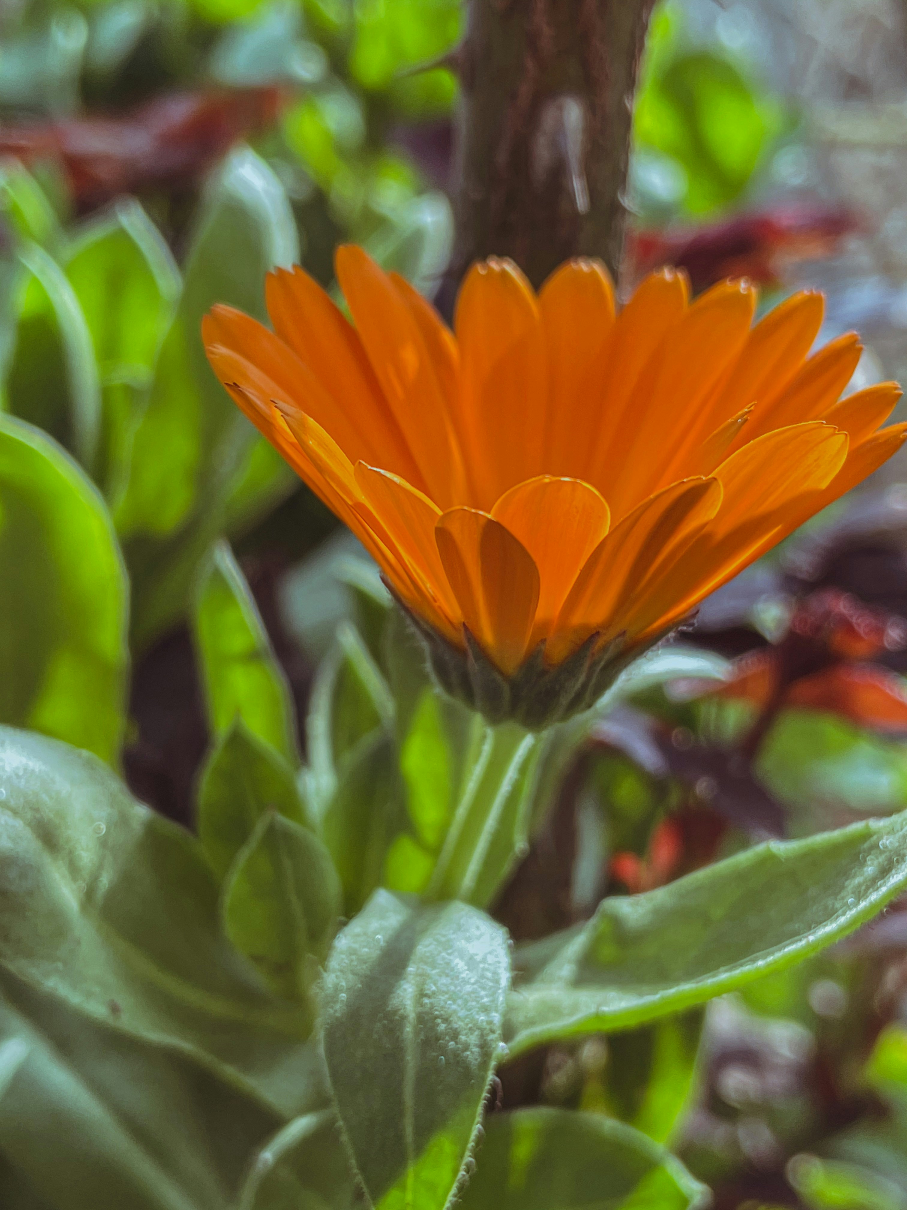 Photo by vefabasova
