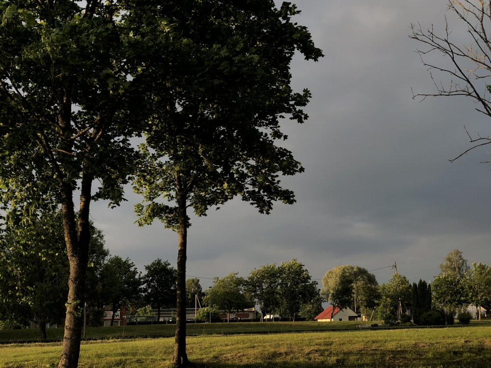 a field with trees and a house in the distance